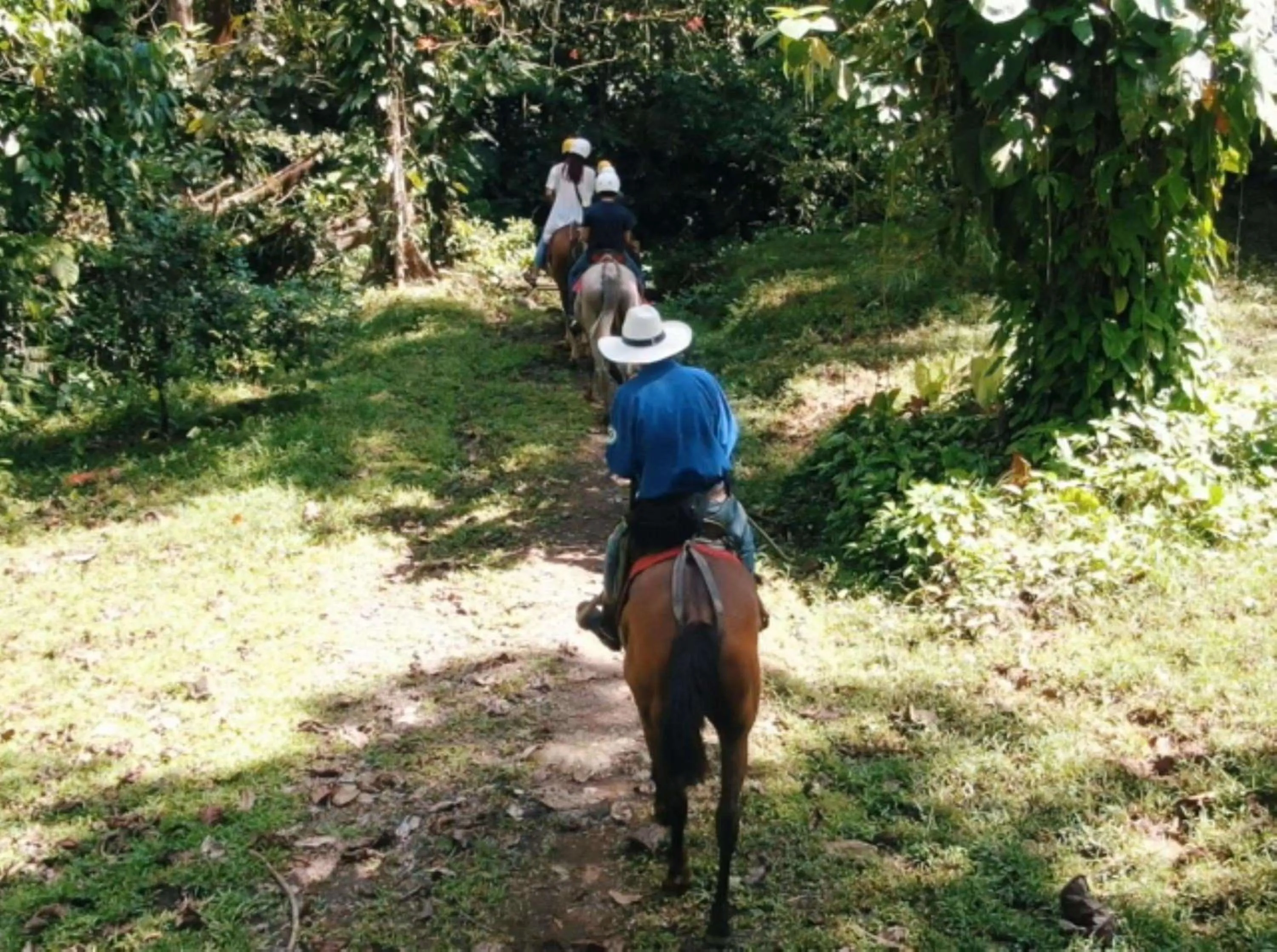 Nearby landmark in Best Western Hotel & Casino Kamuk