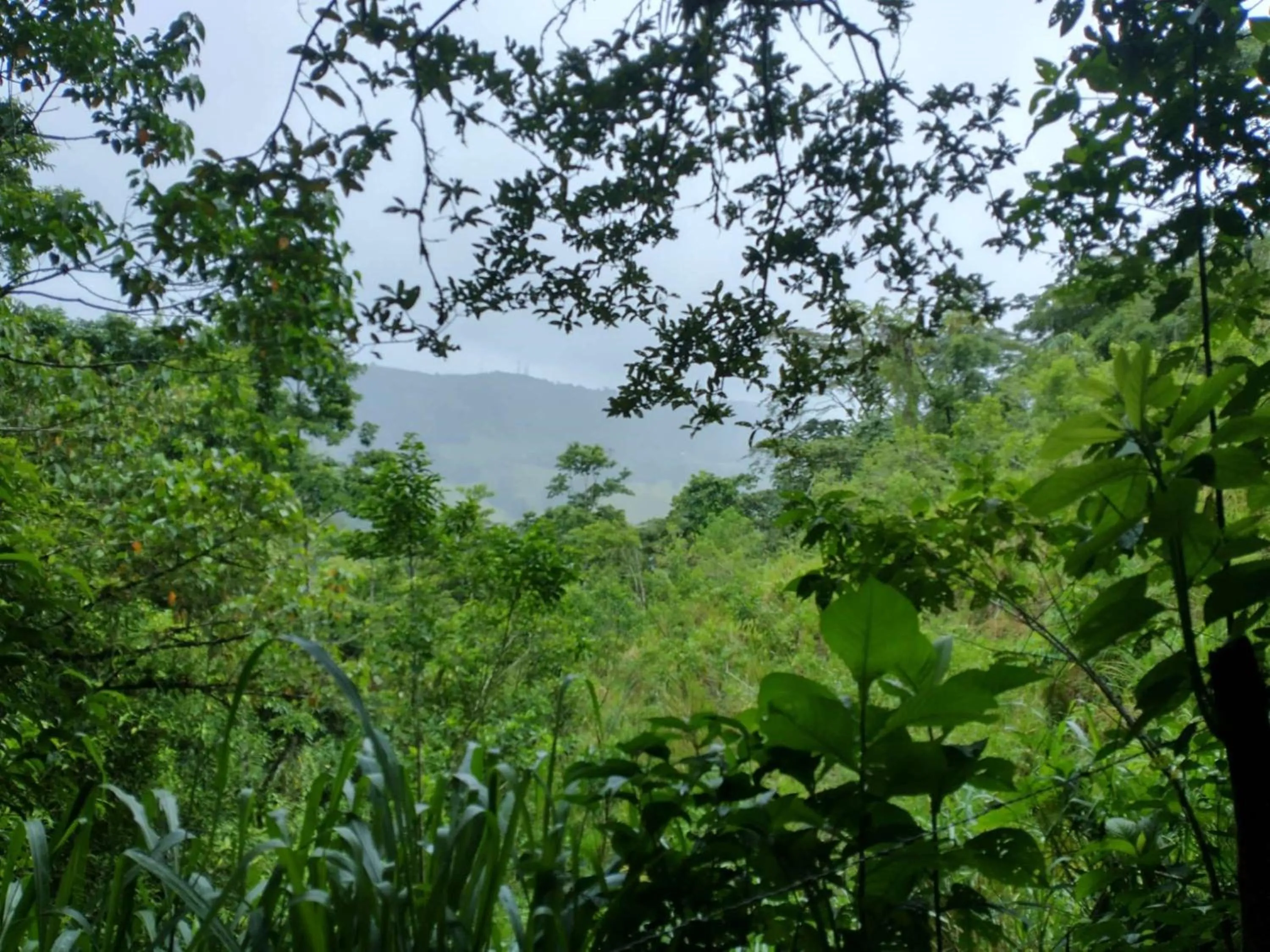 Nearby landmark in Best Western Hotel & Casino Kamuk