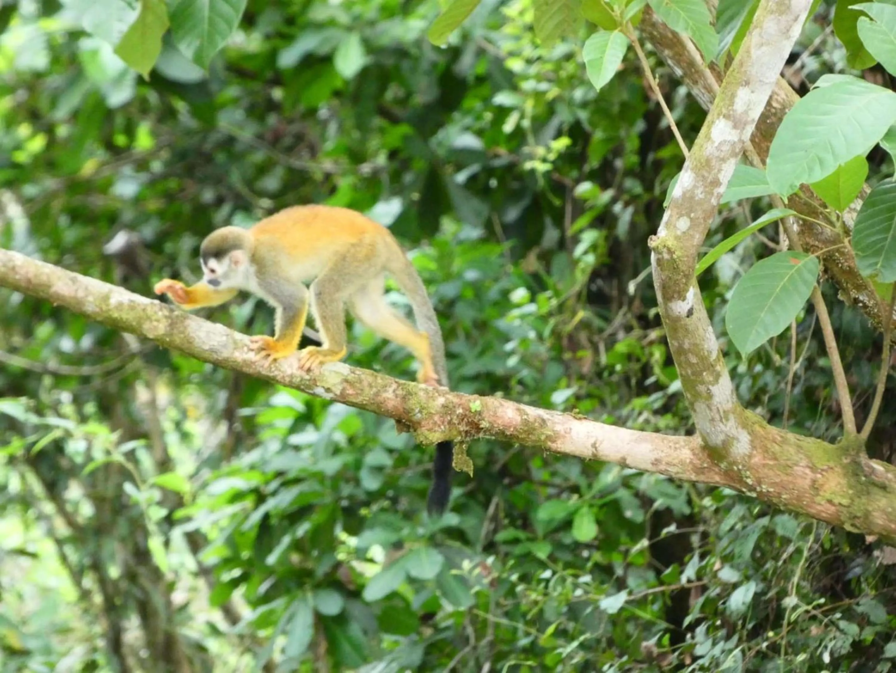 Nearby landmark in Best Western Hotel & Casino Kamuk