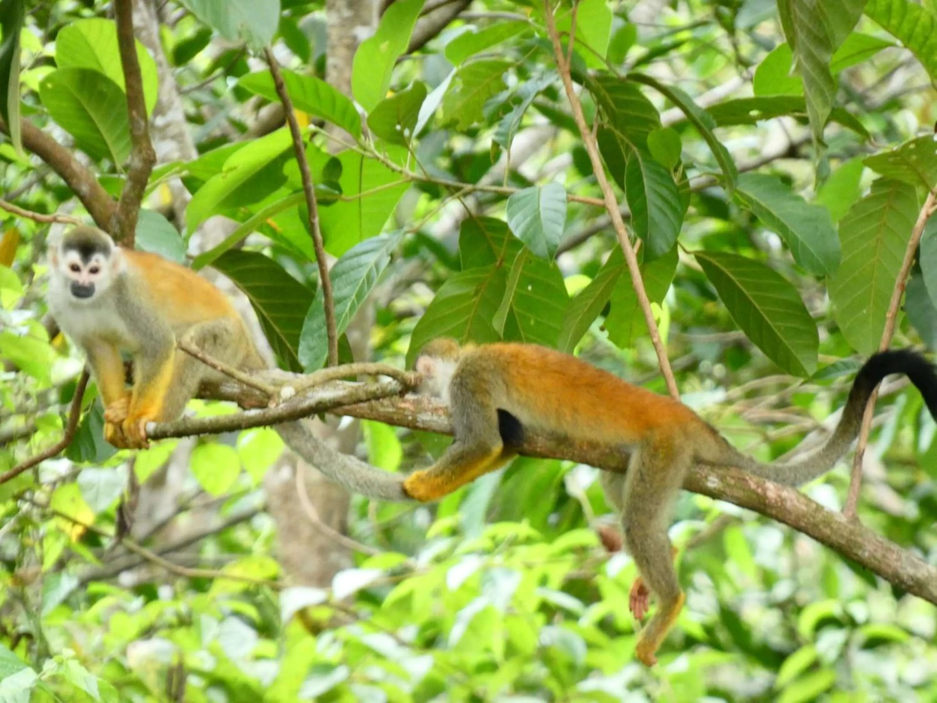 Nearby landmark in Best Western Hotel & Casino Kamuk