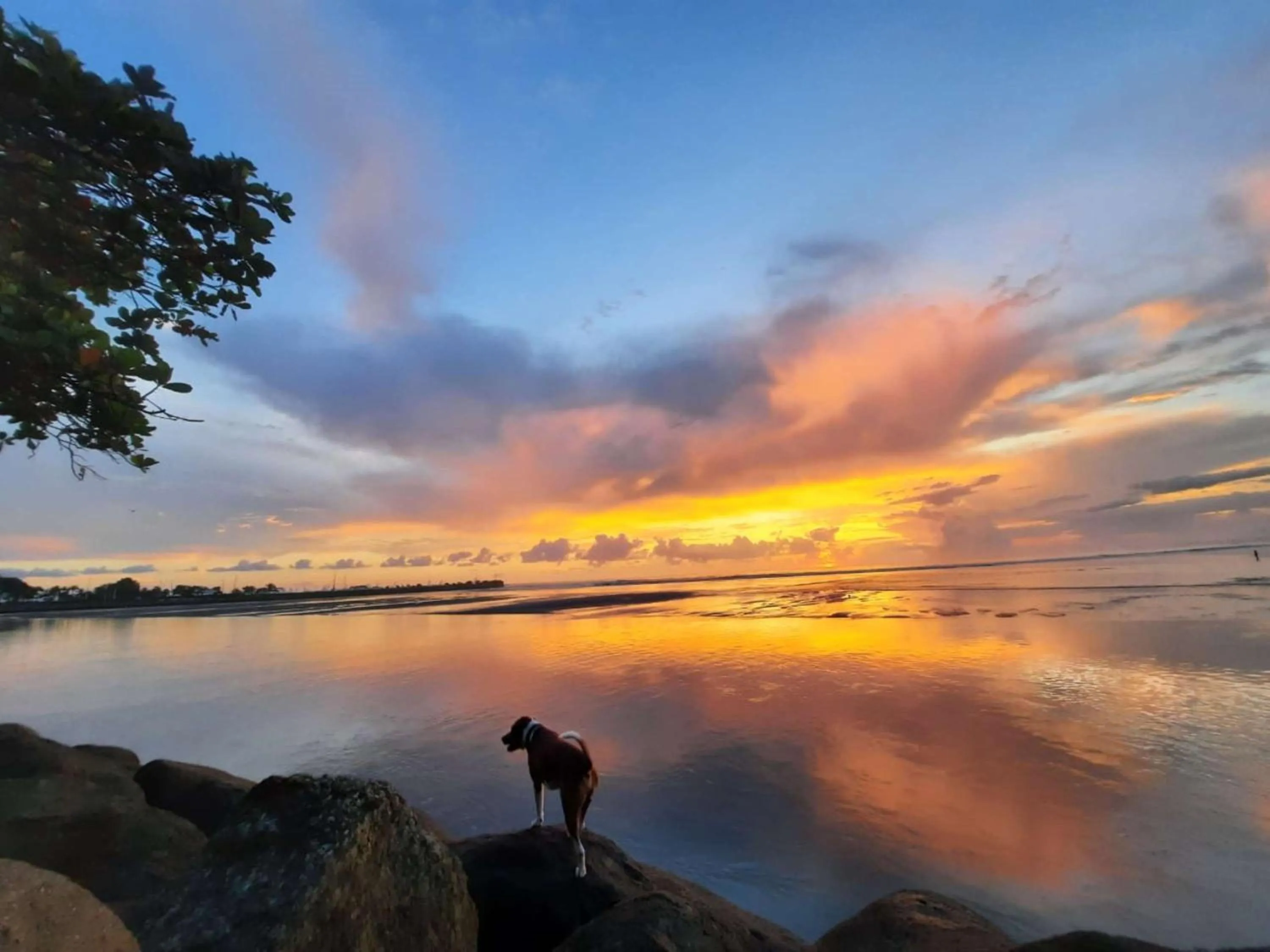Nearby landmark in Best Western Hotel & Casino Kamuk