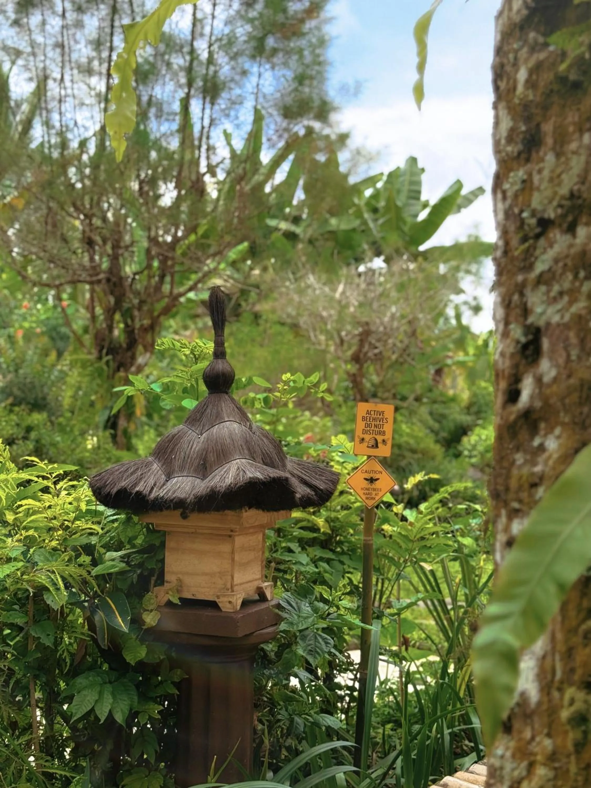 Garden view in Awan Putih Resort
