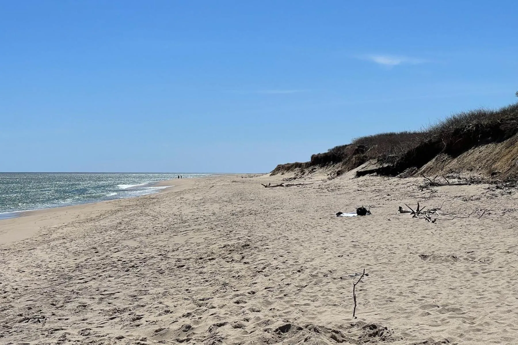 Natural landscape in Endless Dunes, A Modern Motel