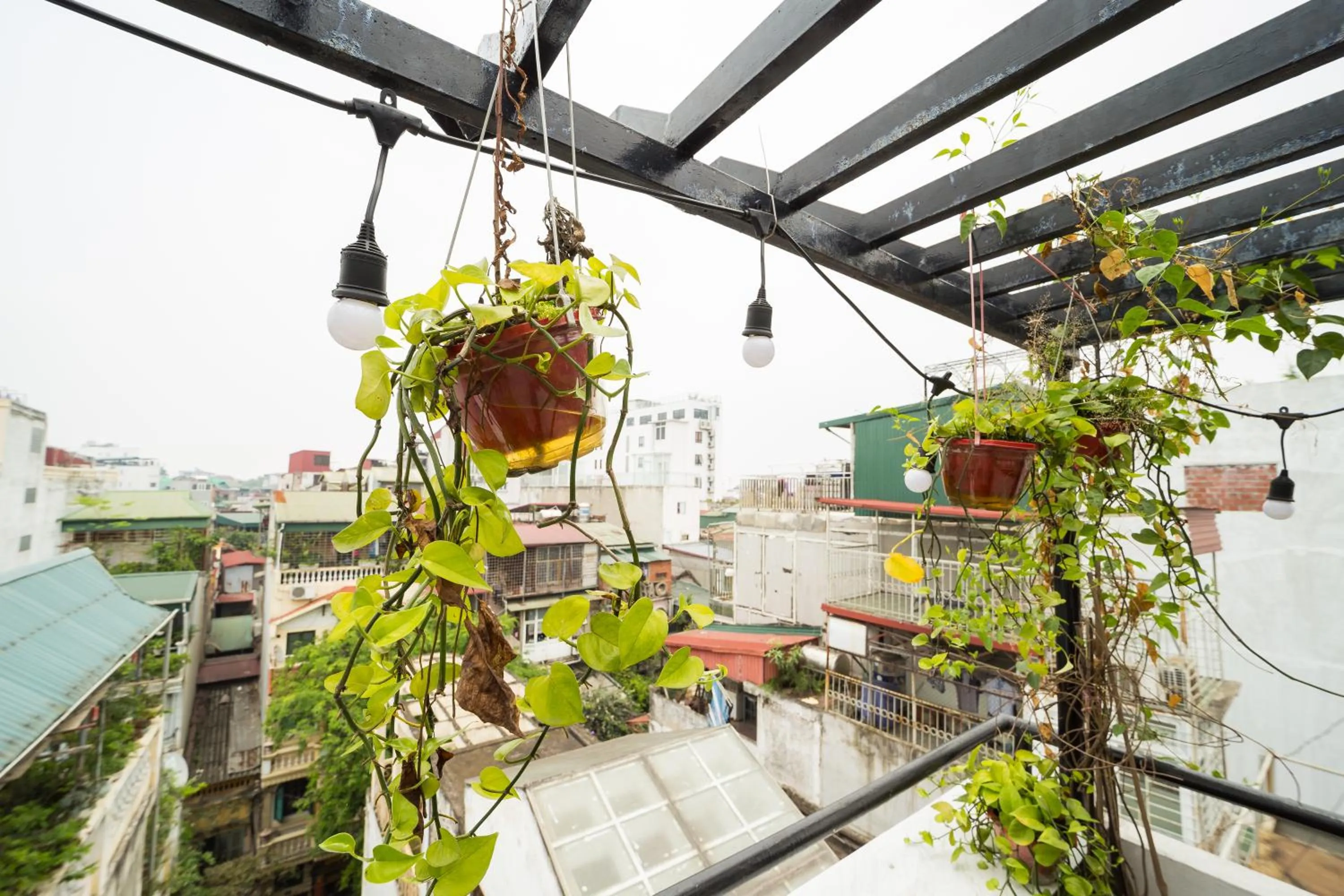 Ubuntu Hostel and Tour