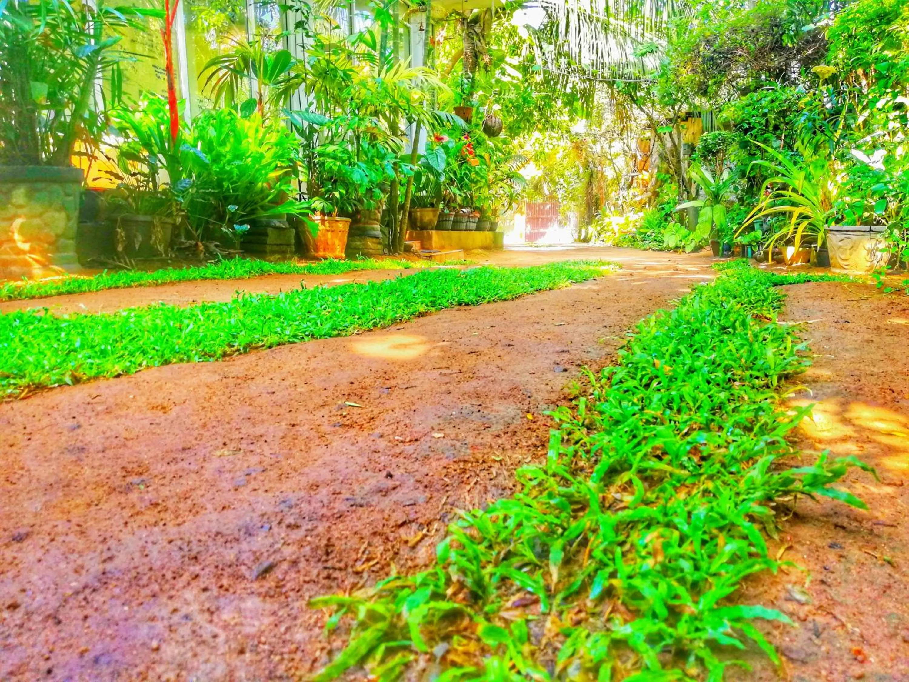 Garden view in Green Garden Resort