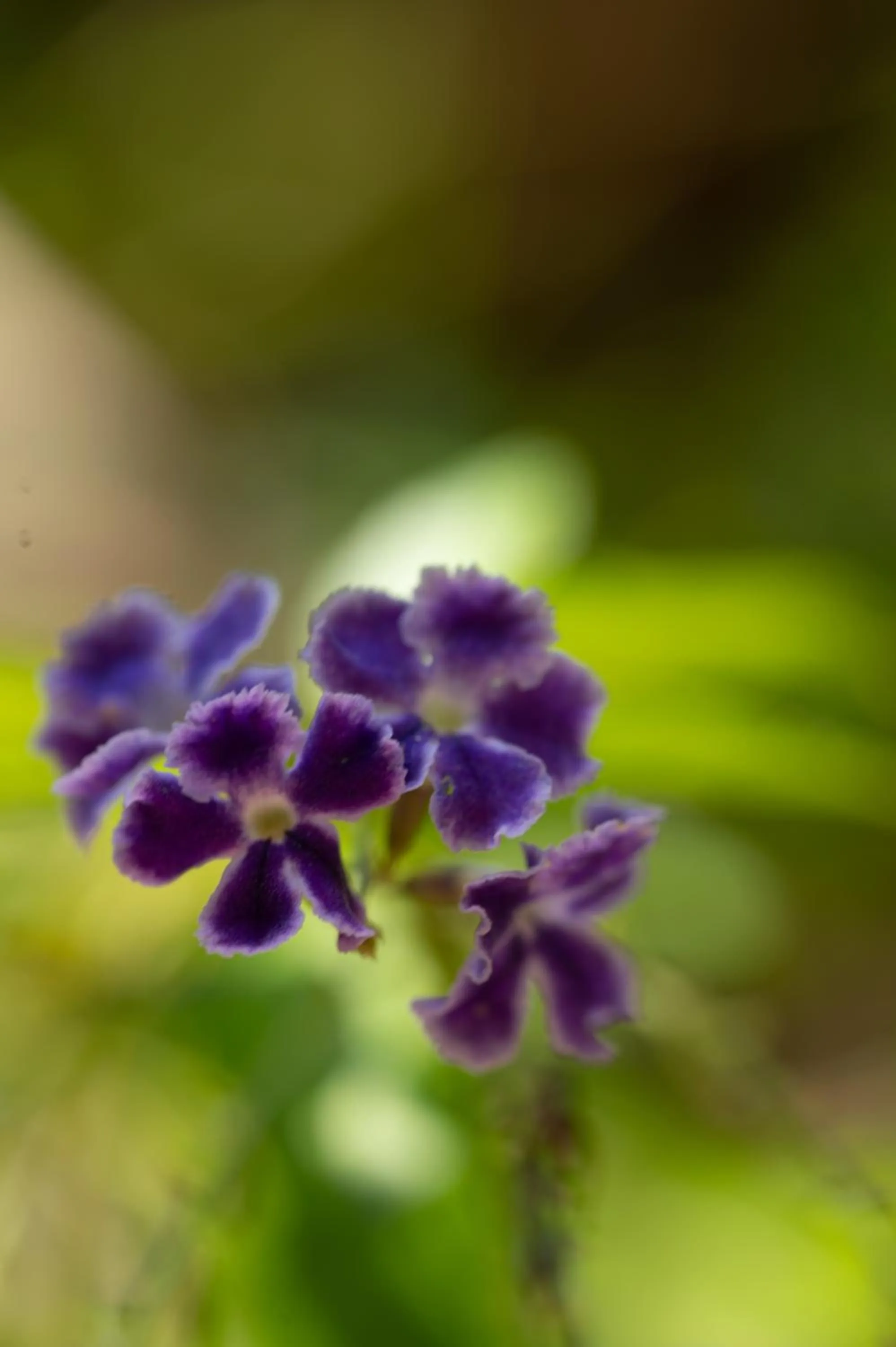 Property building in Green Garden Resort