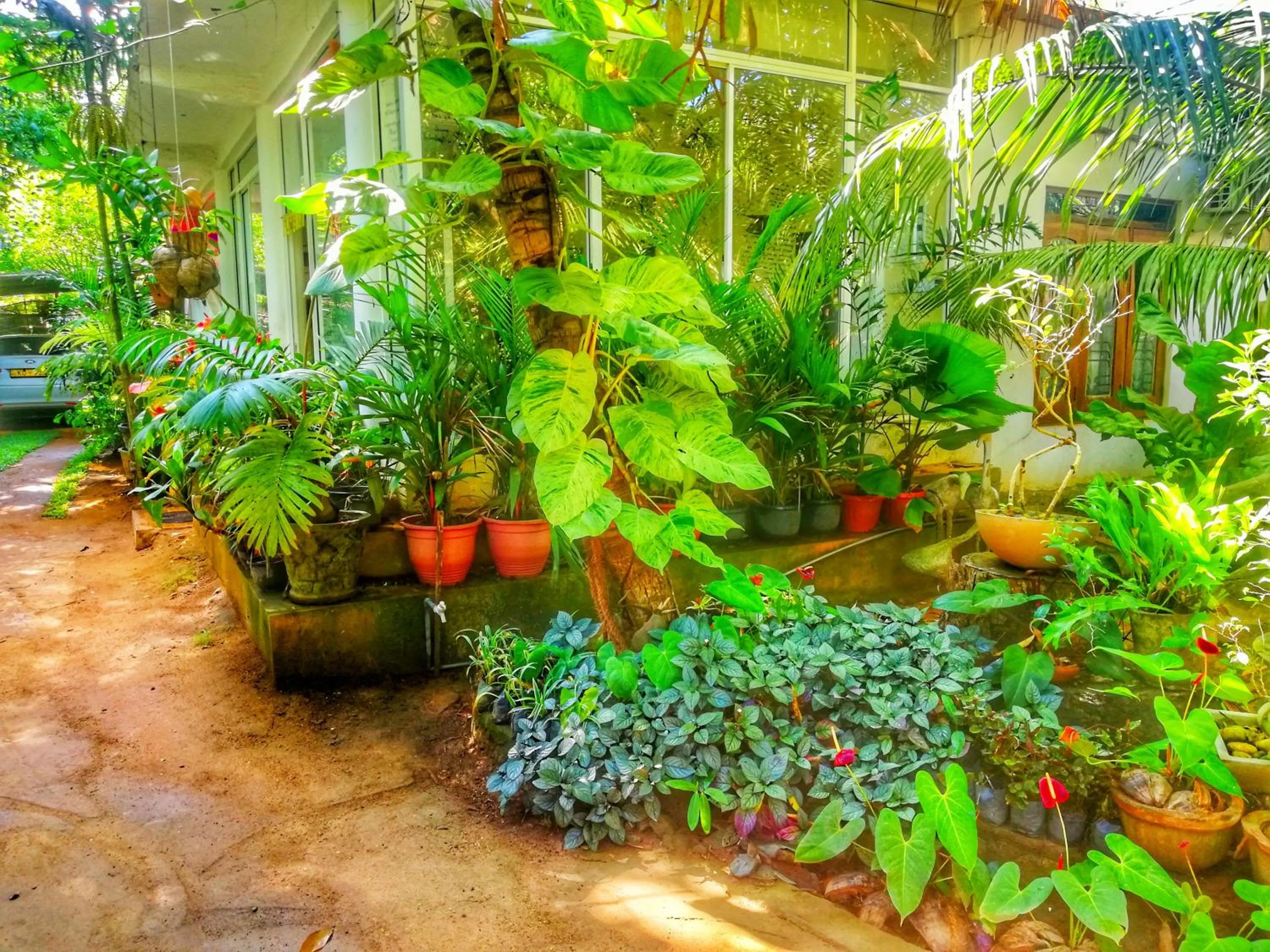 Natural landscape in Green Garden Resort