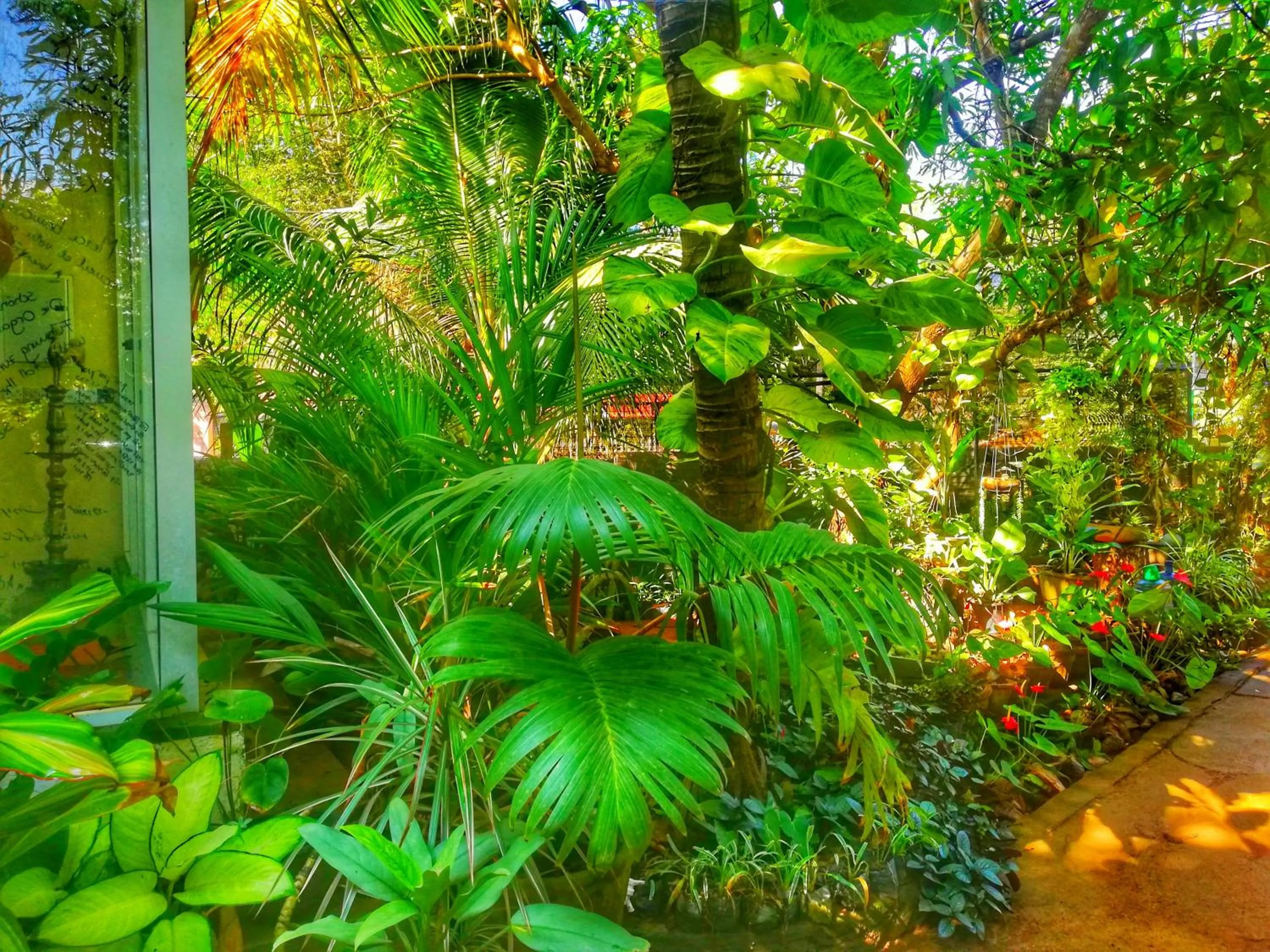 Garden view in Green Garden Resort