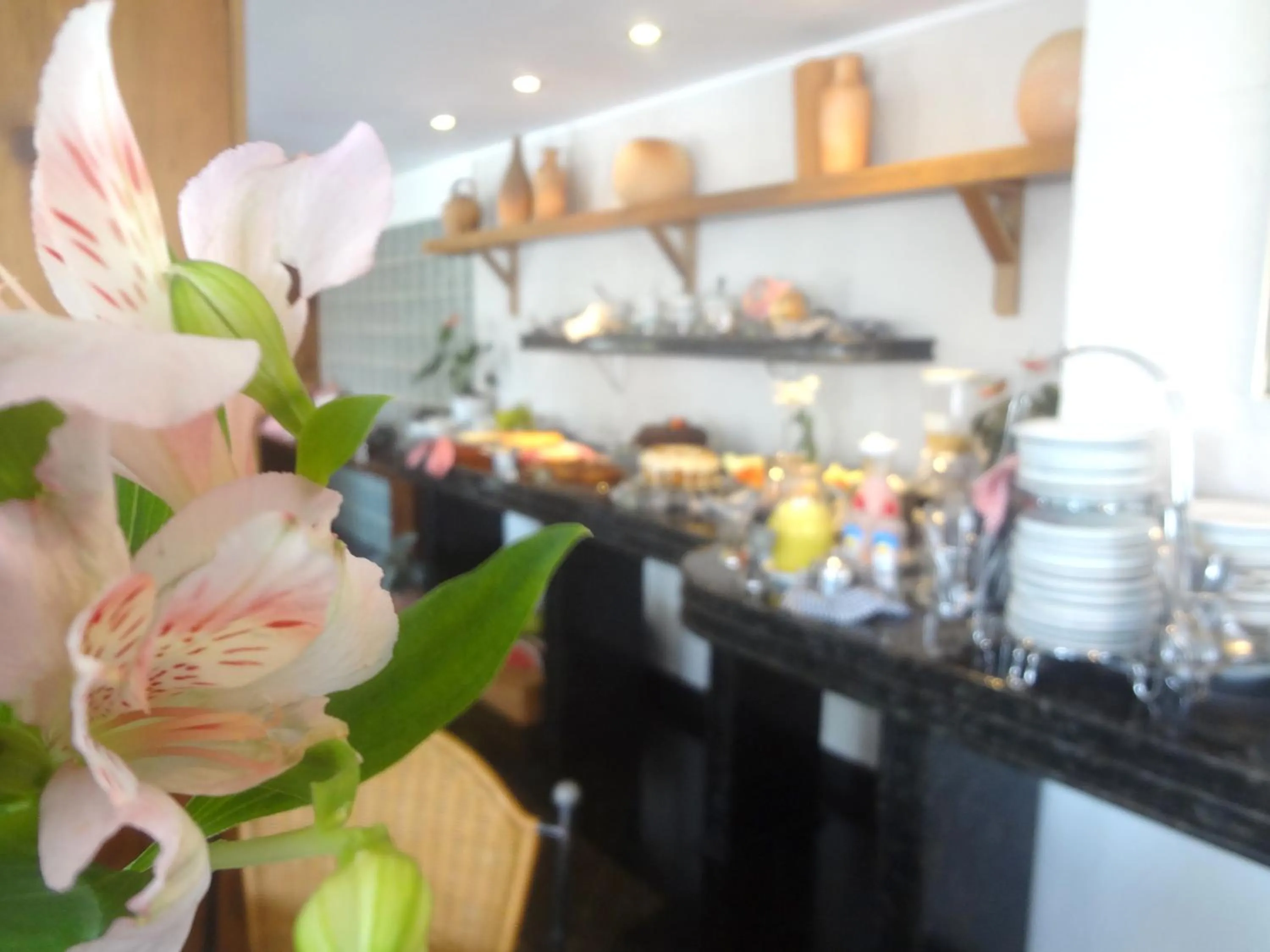 Food in Novo Hamburgo Business Hotel