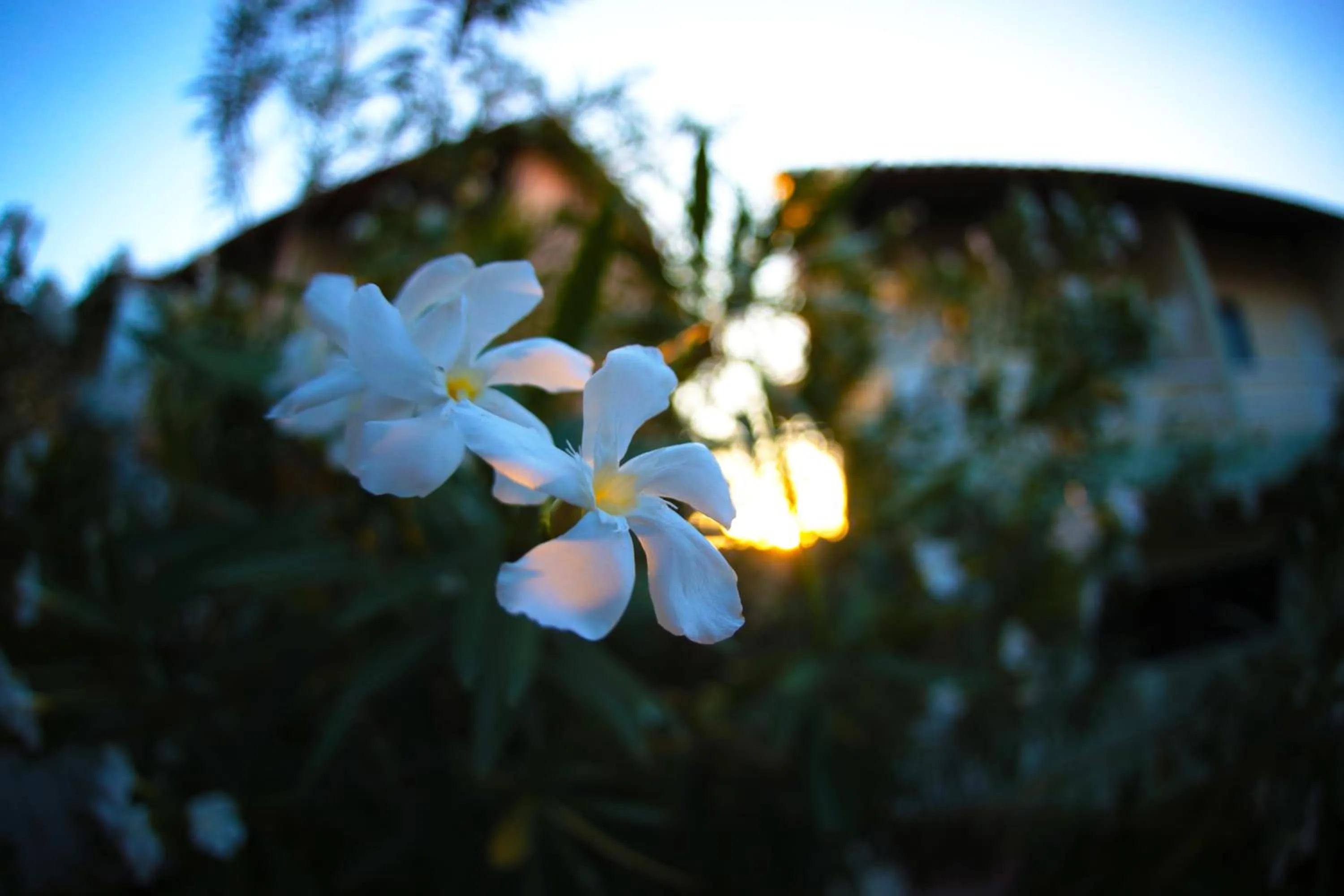 Decorative detail in Caruaru Park Hotel