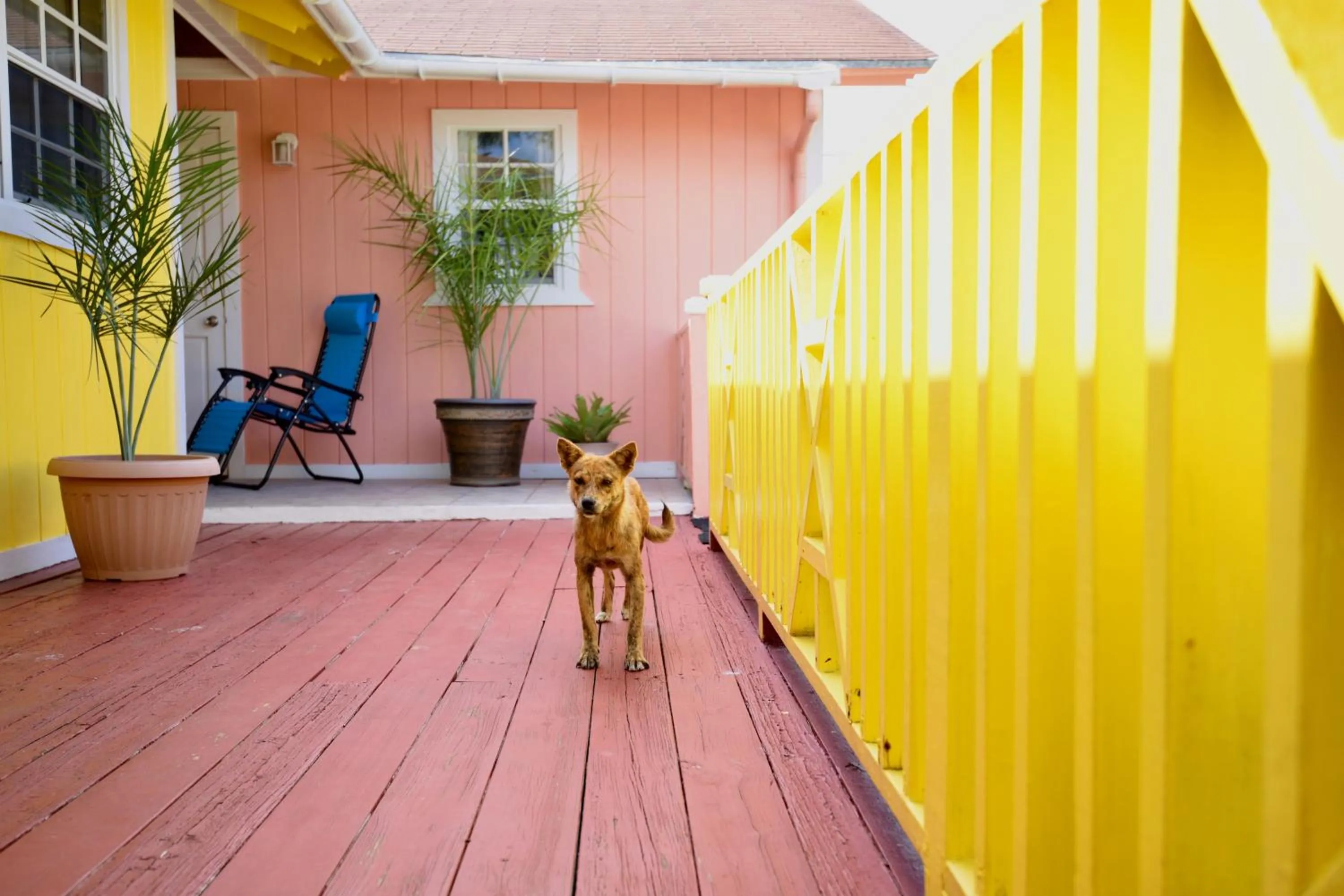 Patio in Nathan's Lodge