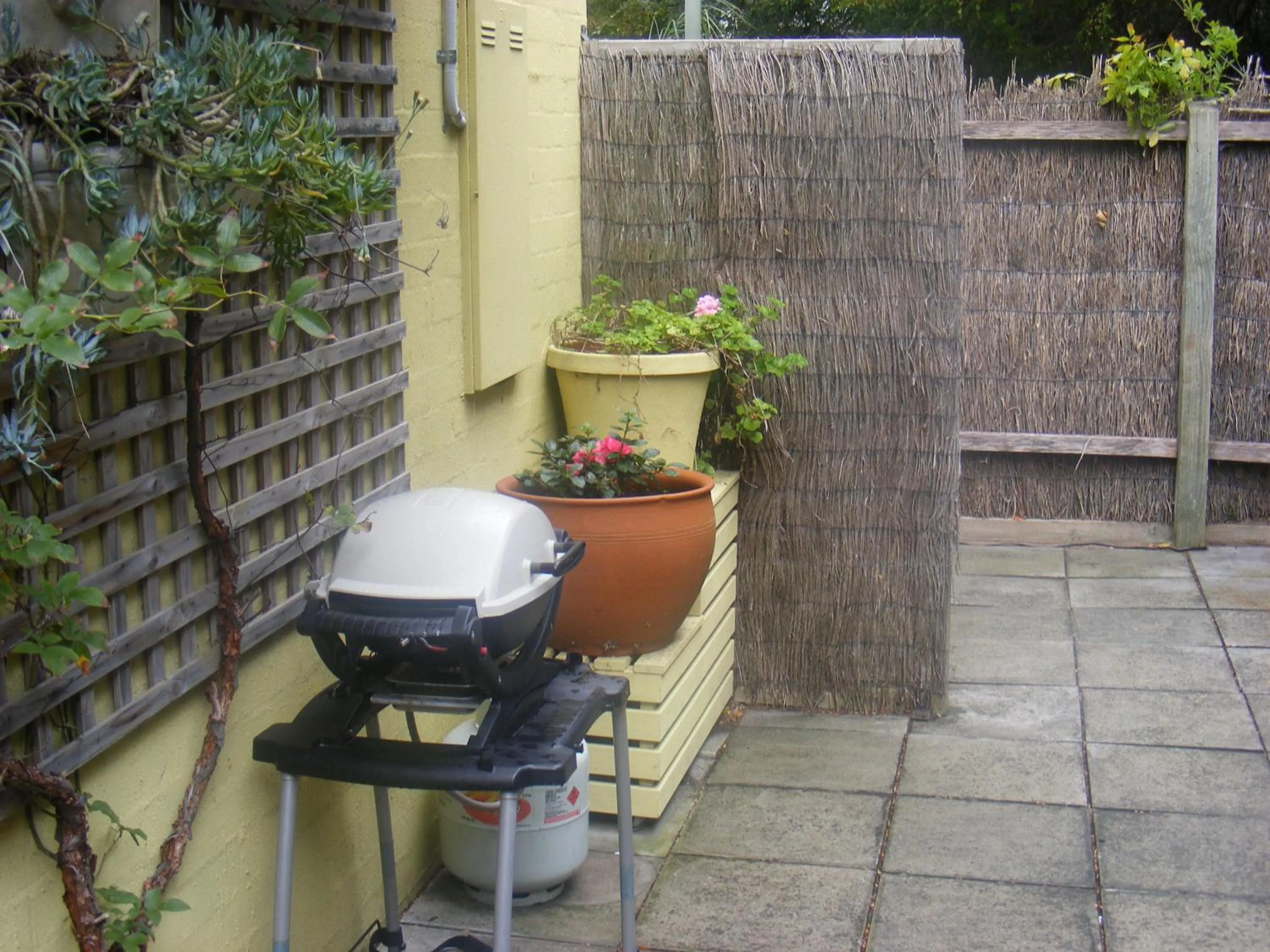 Balcony/Terrace in Weeroona Bed And Breakfast