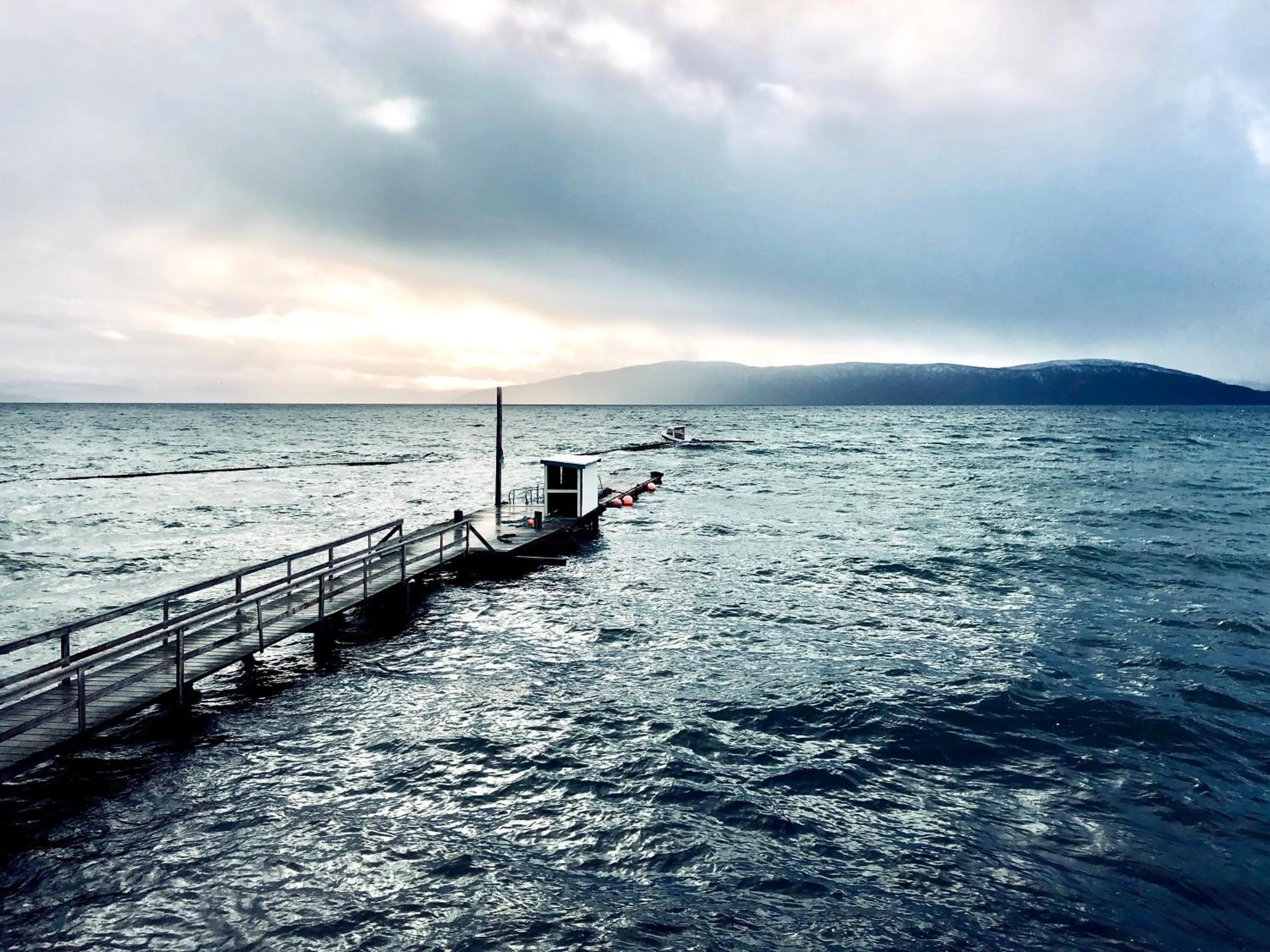 Natural landscape in Buvik Sea Lodge Apartments