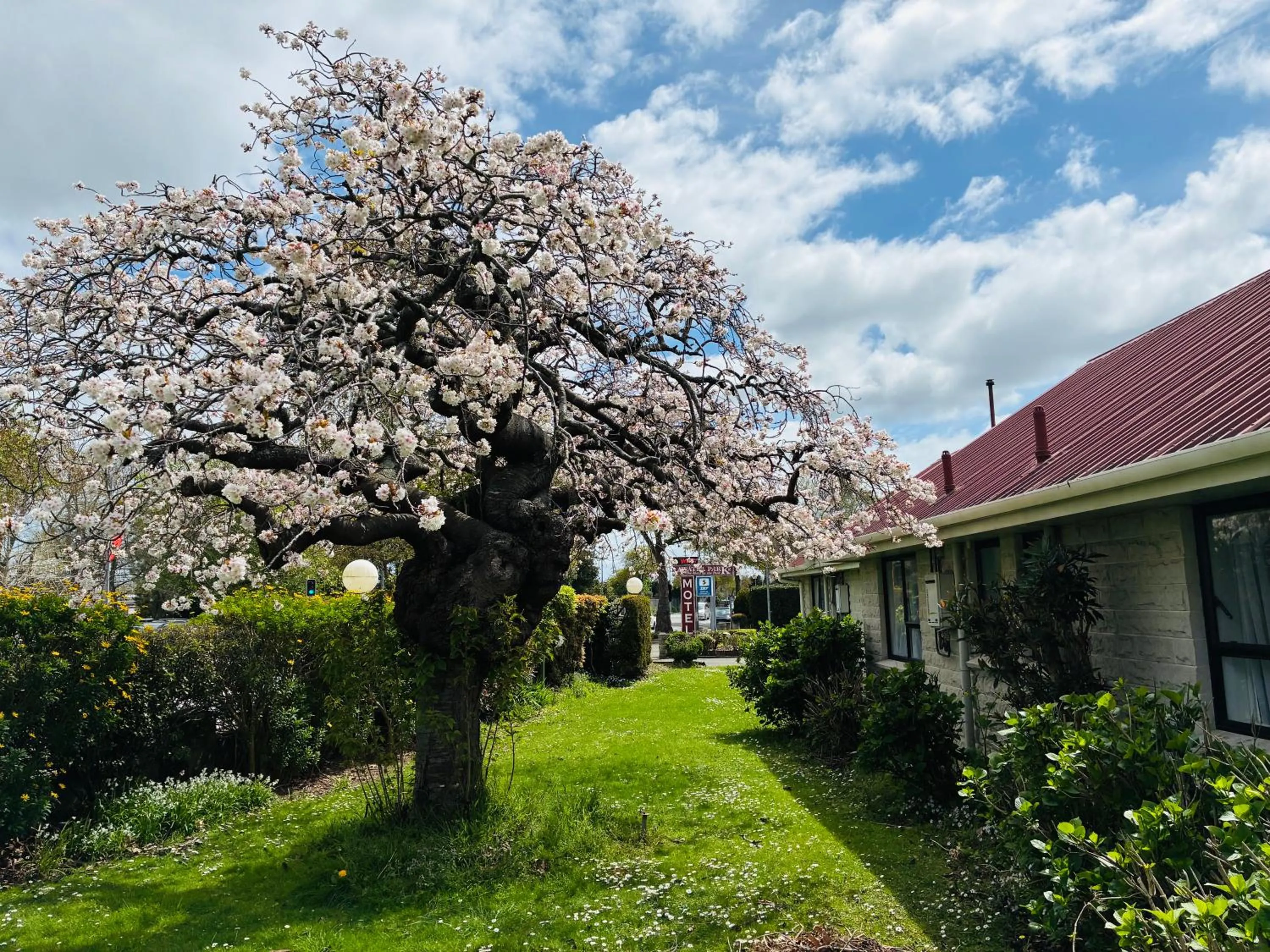View (from property/room) in Awatea Park Motel