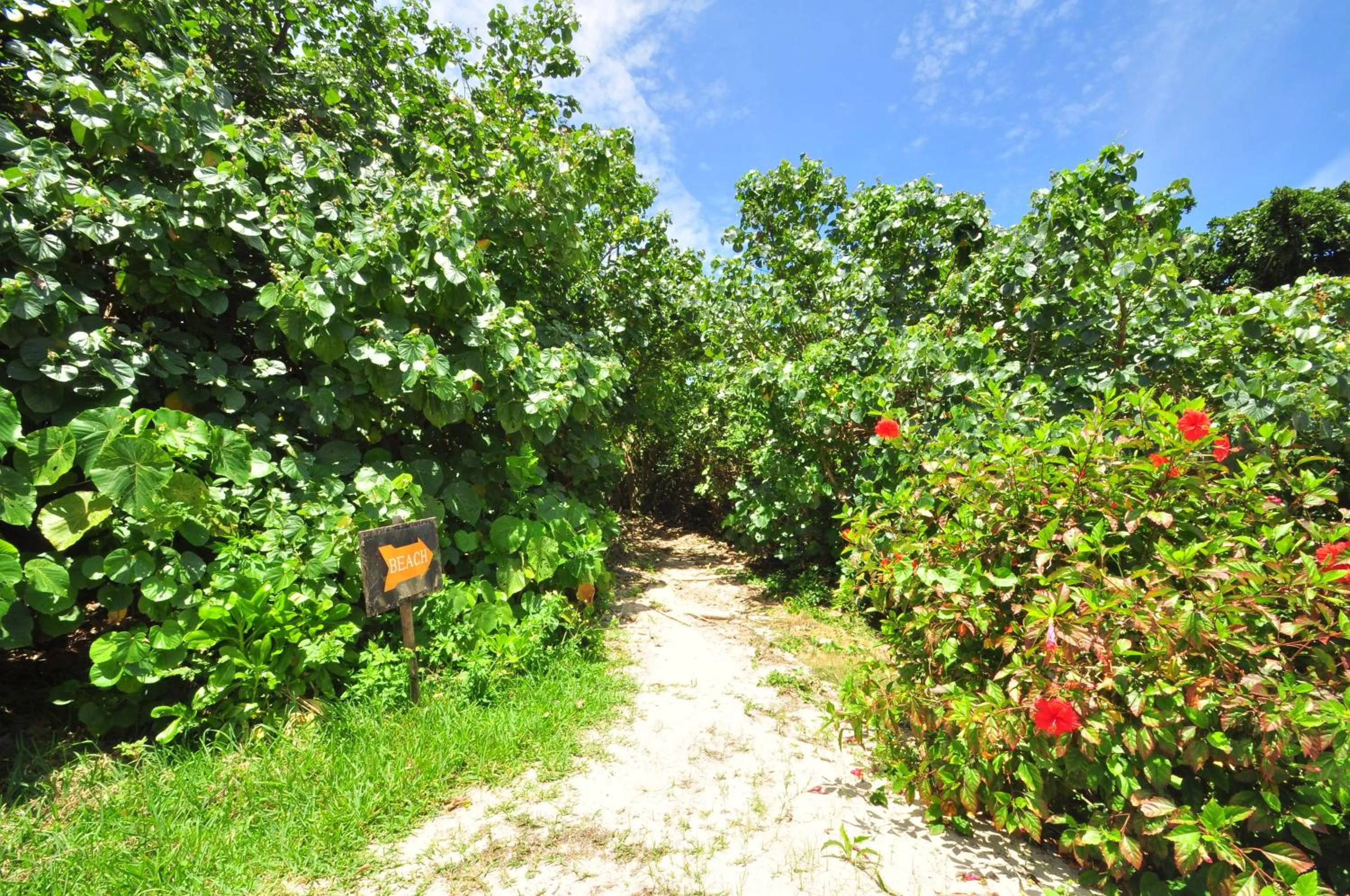 Nearby landmark in Marine Lodge Marea