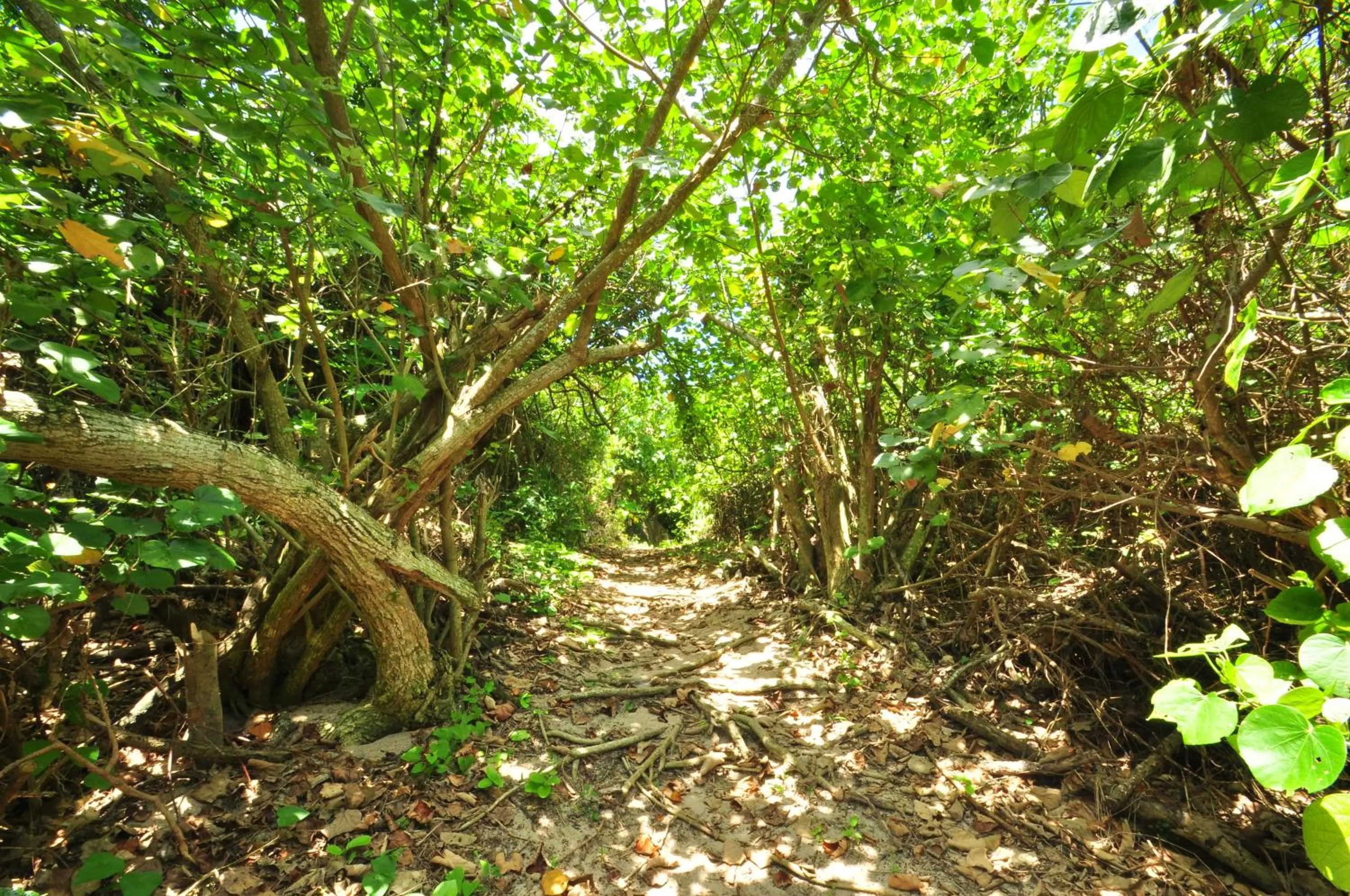 Nearby landmark in Marine Lodge Marea