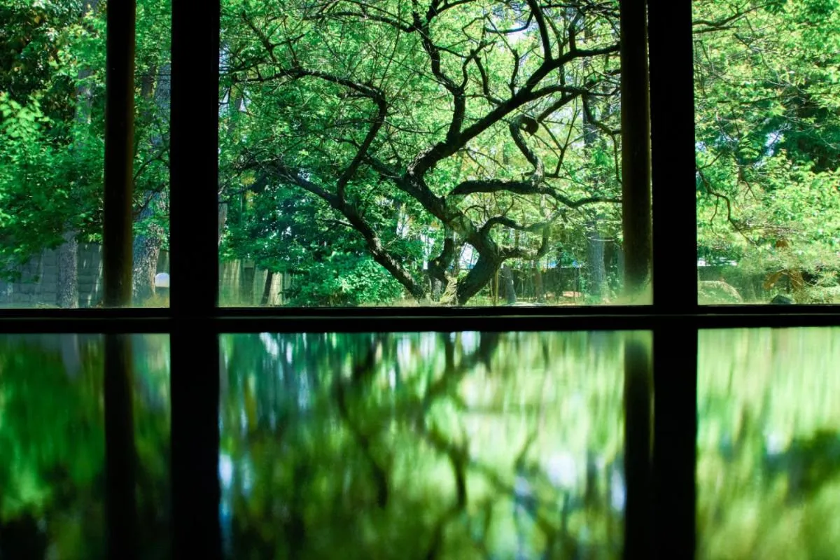 Hot Spring Bath in Tanakaya