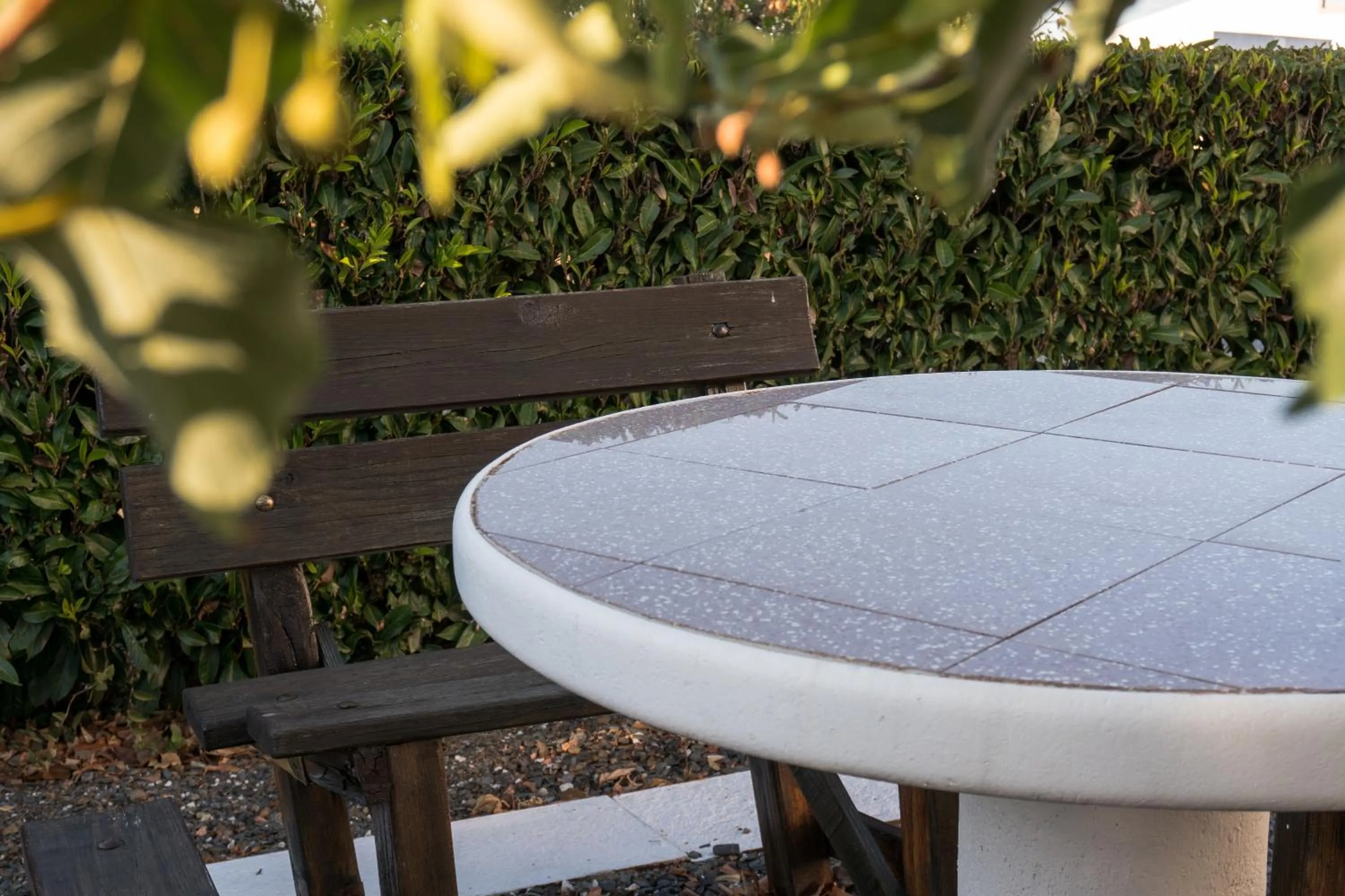 Garden in Hotel Estrela Da Idanha