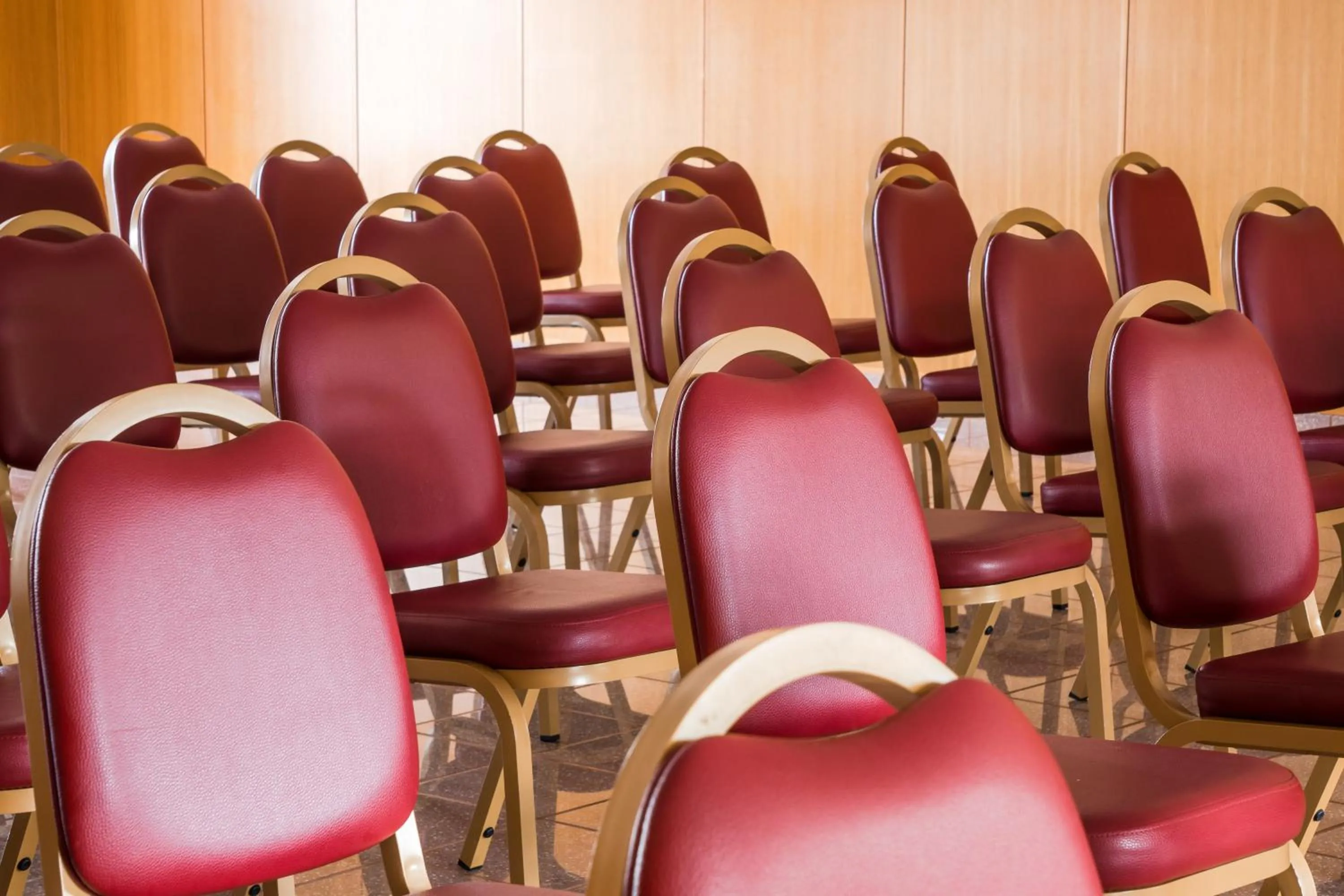 Meeting/conference room in Hotel Estrela Da Idanha