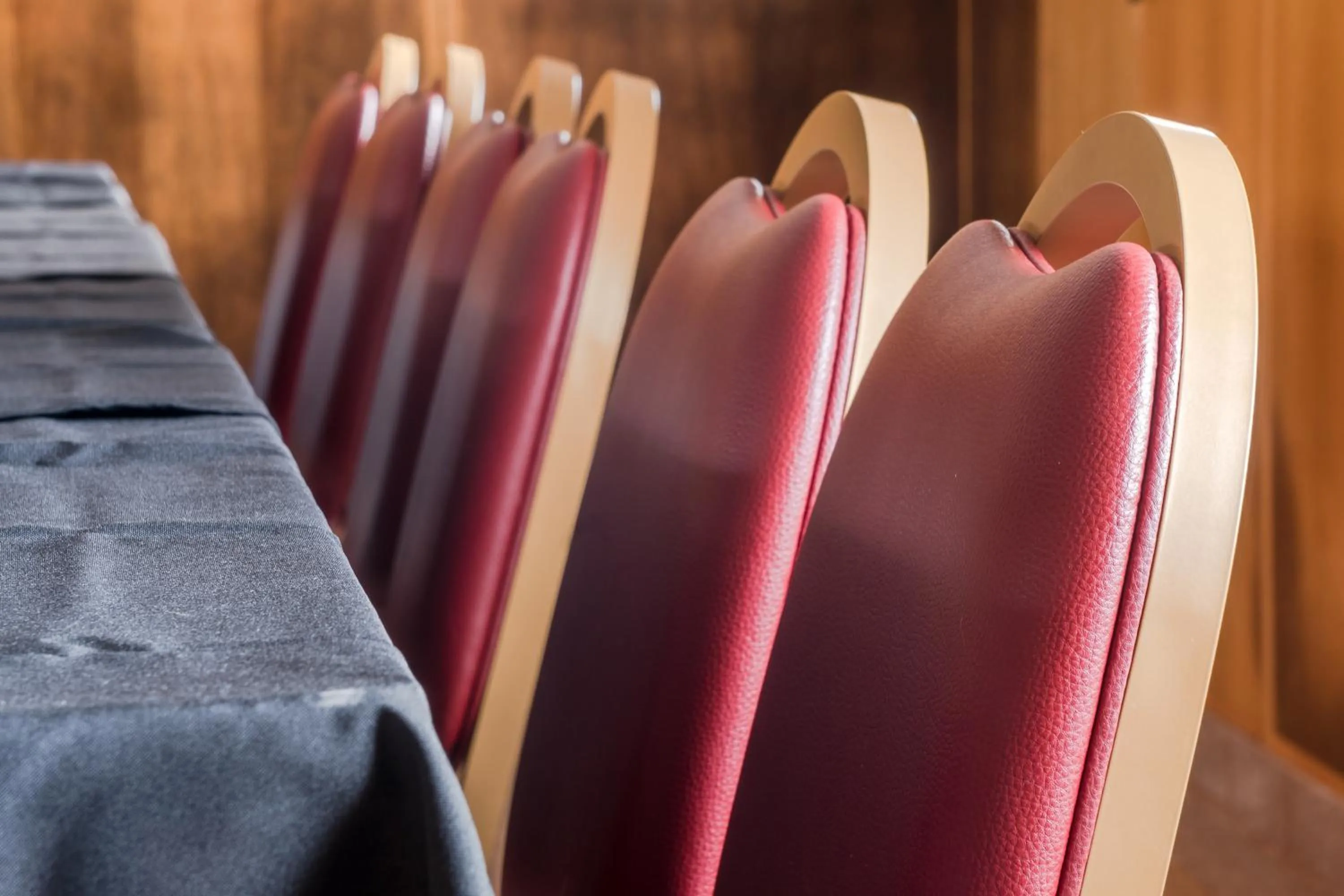 Meeting/conference room in Hotel Estrela Da Idanha