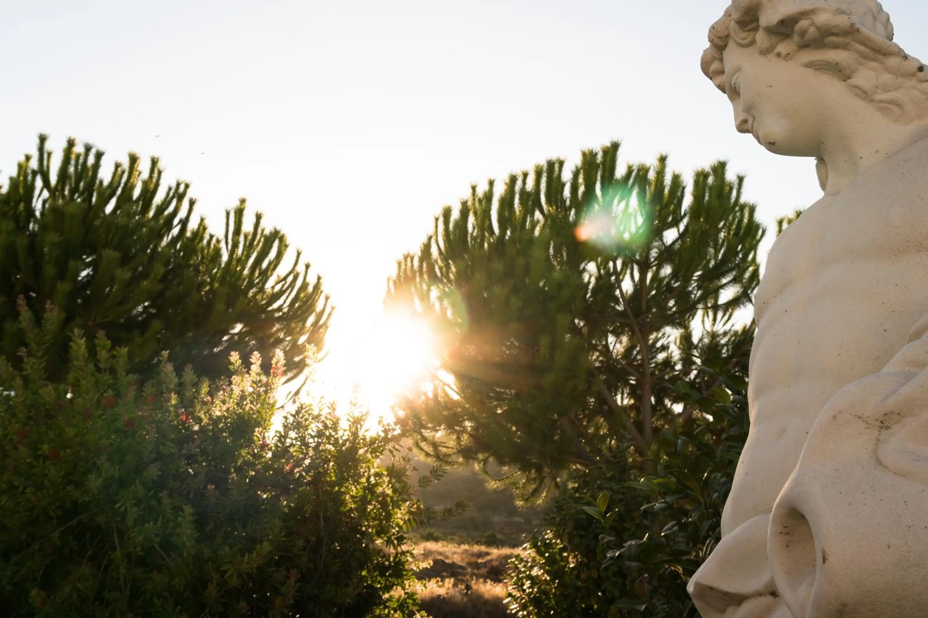 Garden in Hotel Estrela Da Idanha