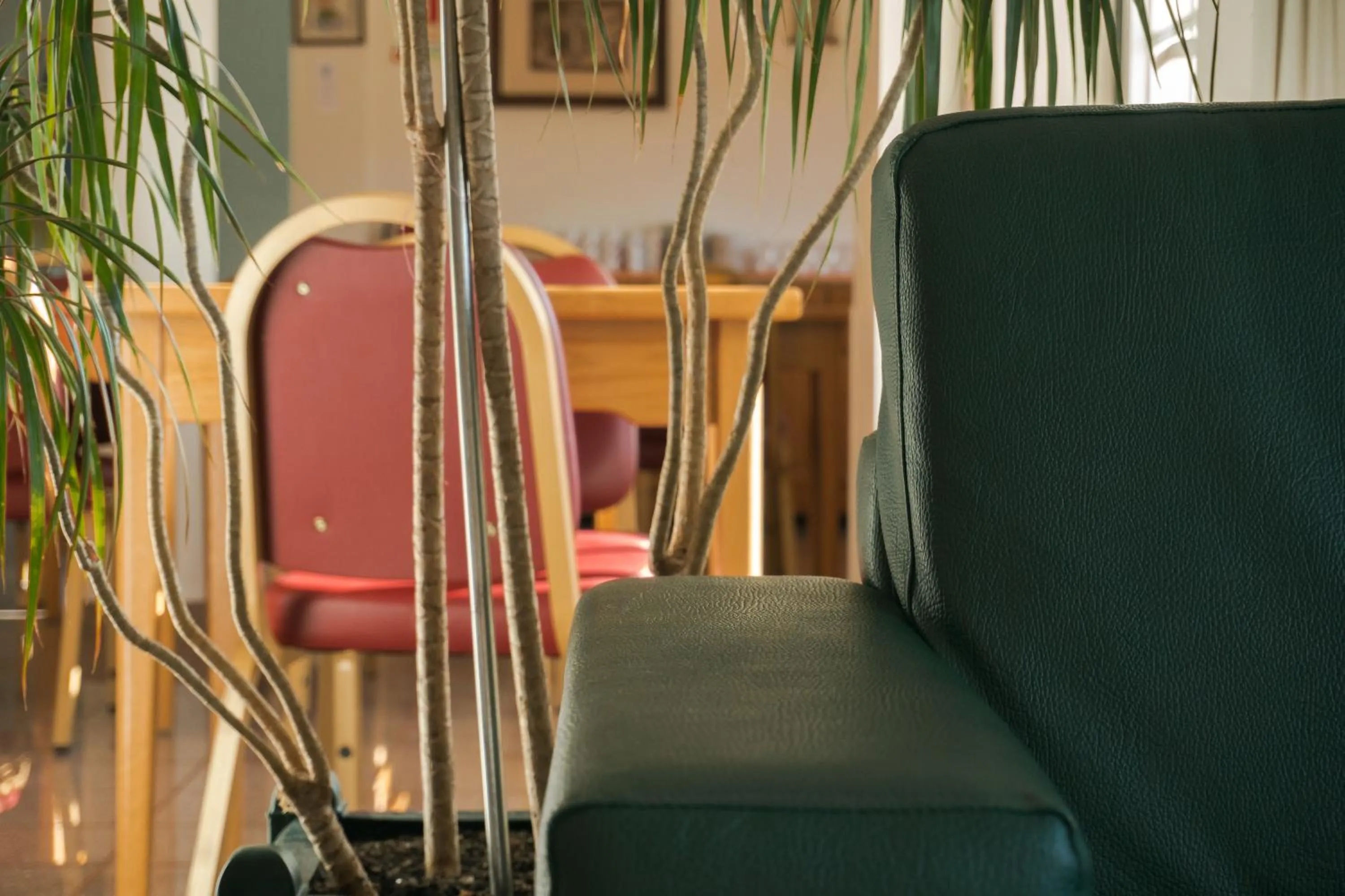 Restaurant/places to eat in Hotel Estrela Da Idanha