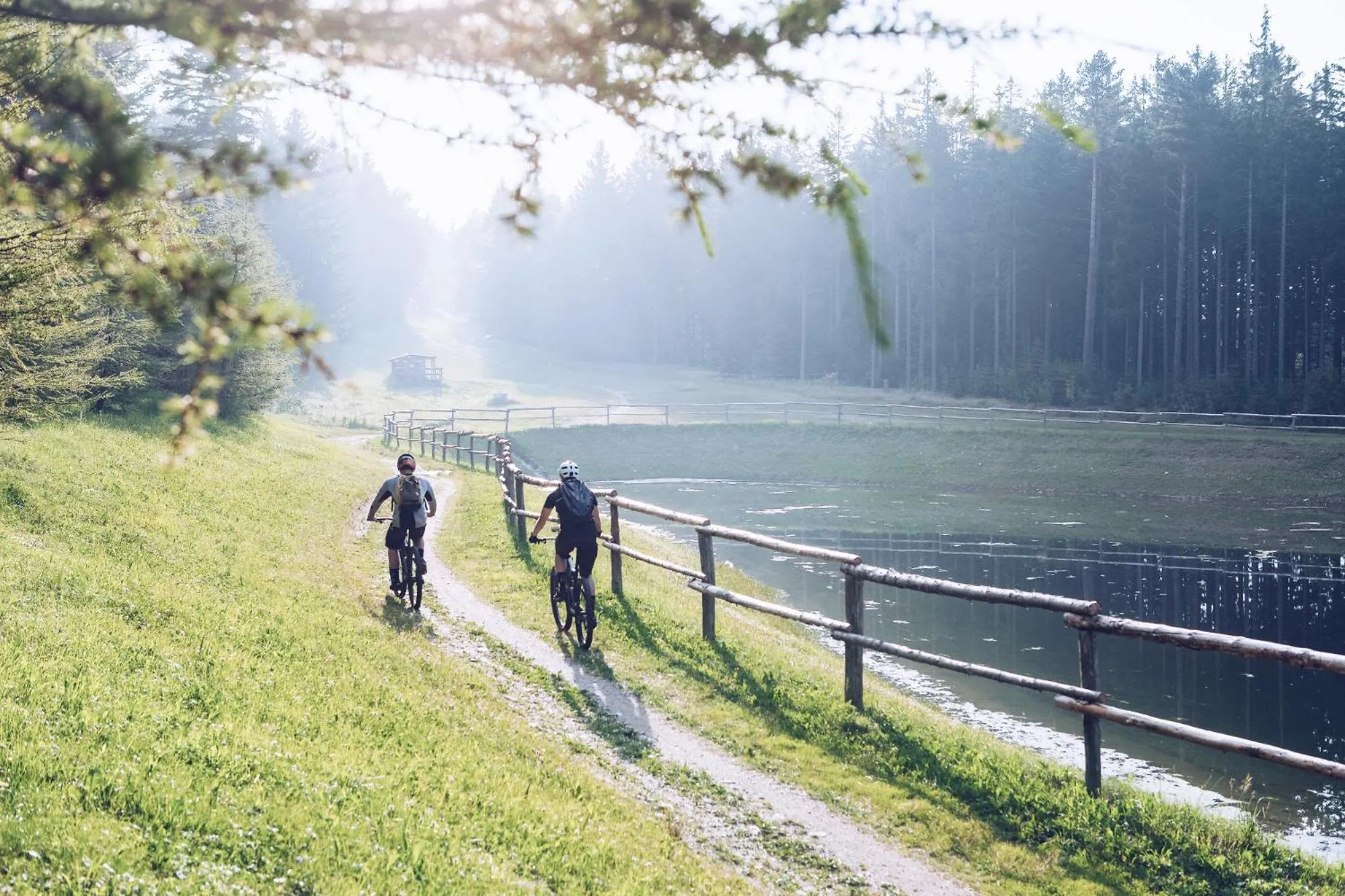 Hiking in Pohorje Village Wellbeing Resort - Wellness & Spa Hotel Bolfenk