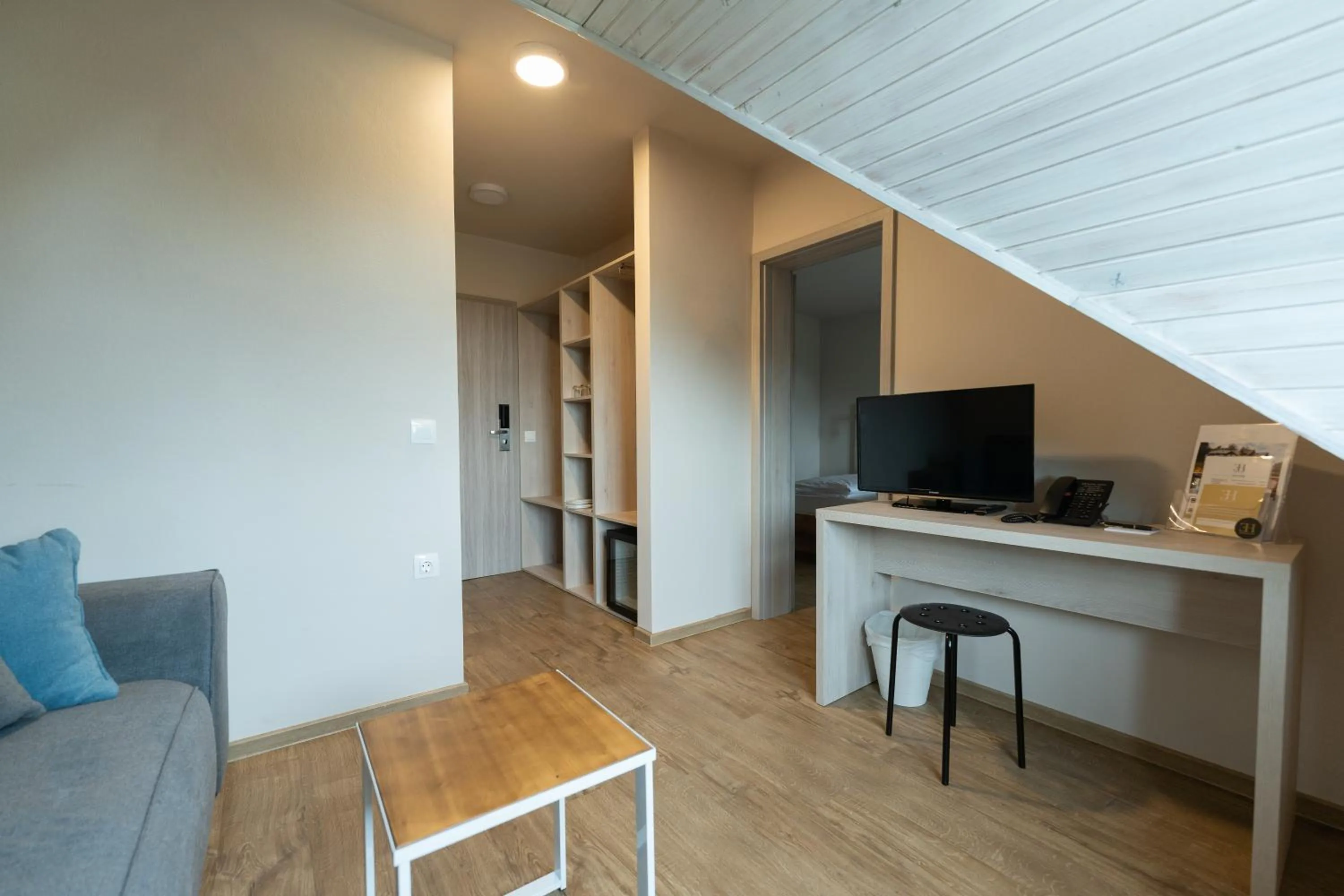 TV and multimedia in Hotel Arena Maribor