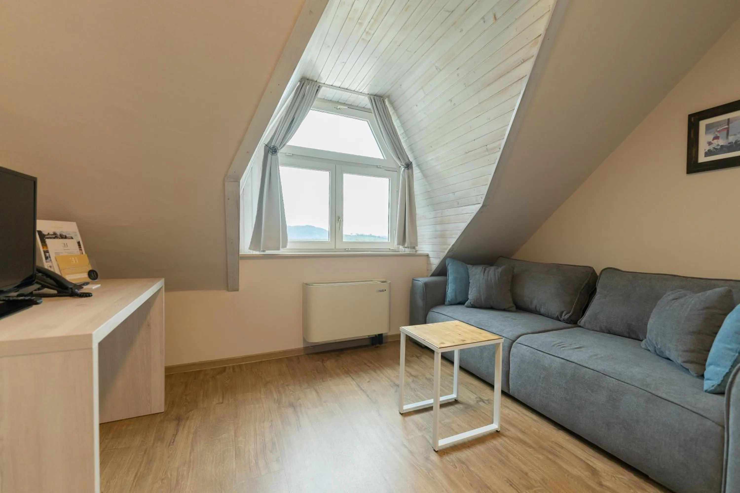 TV and multimedia in Hotel Arena Maribor