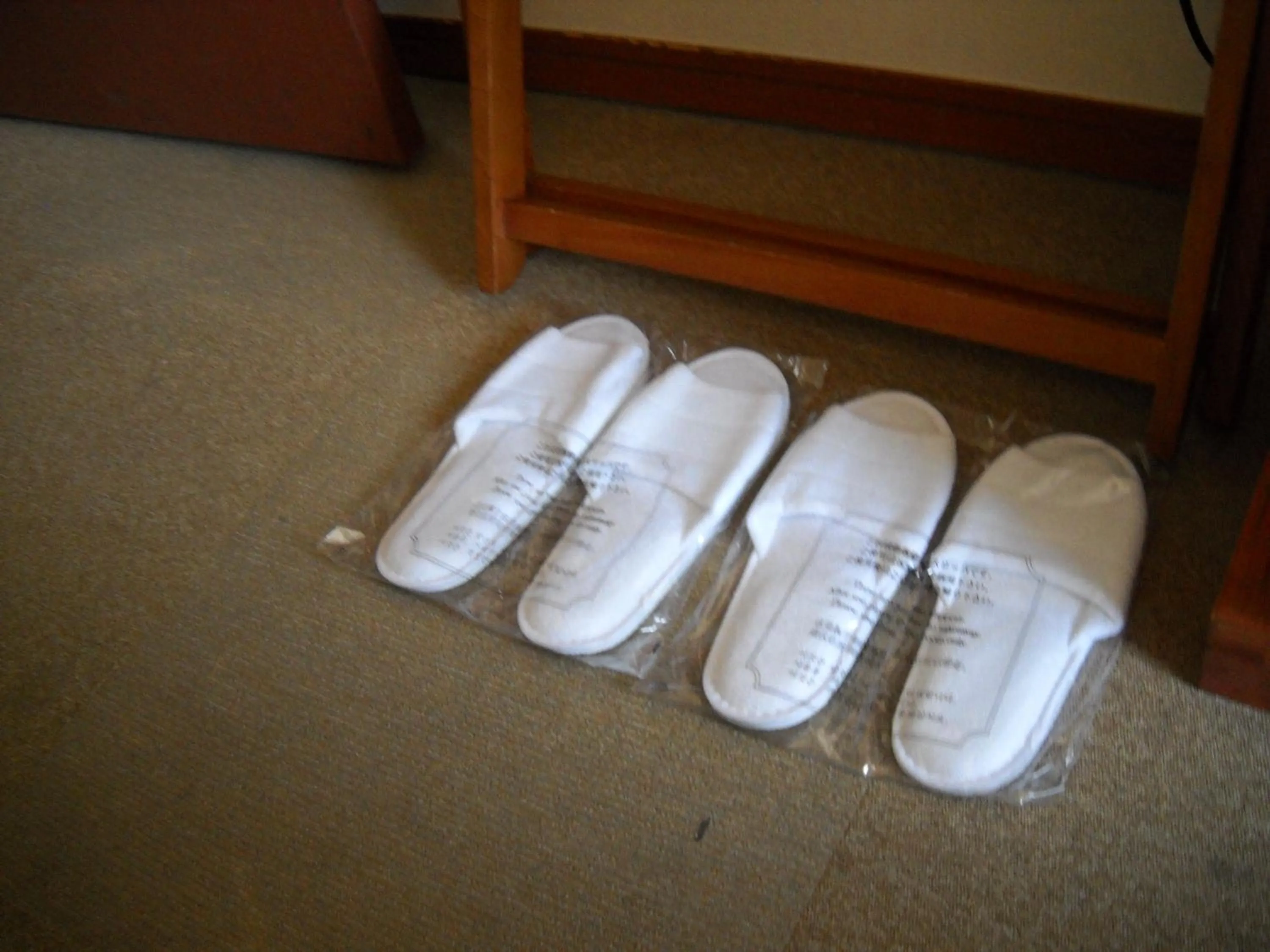 Other in Hotel Kunimi Gotenba