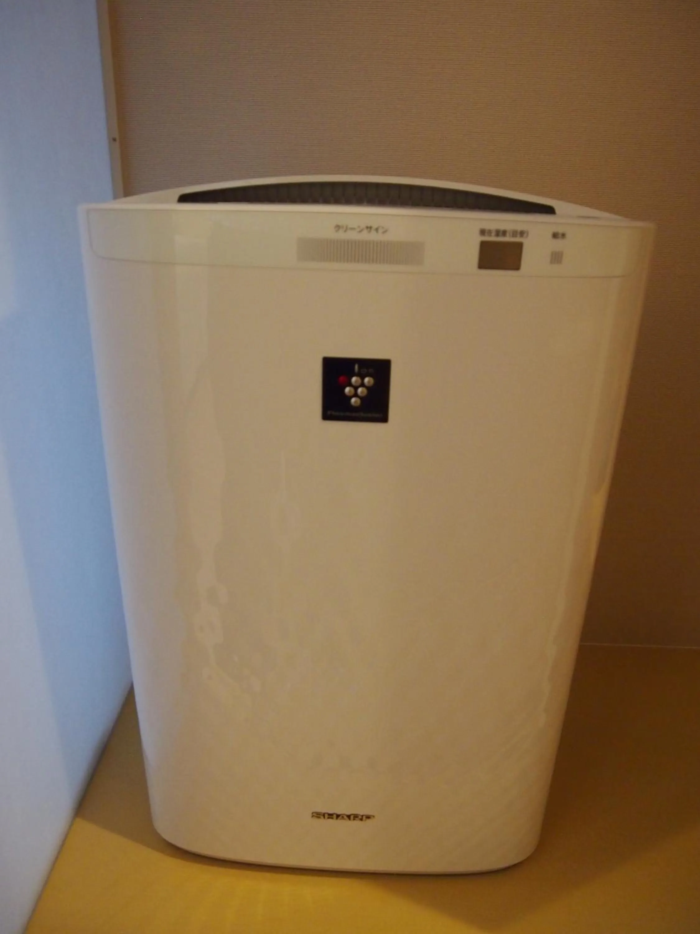 Decorative detail in Hotel Sunroute Kumamoto