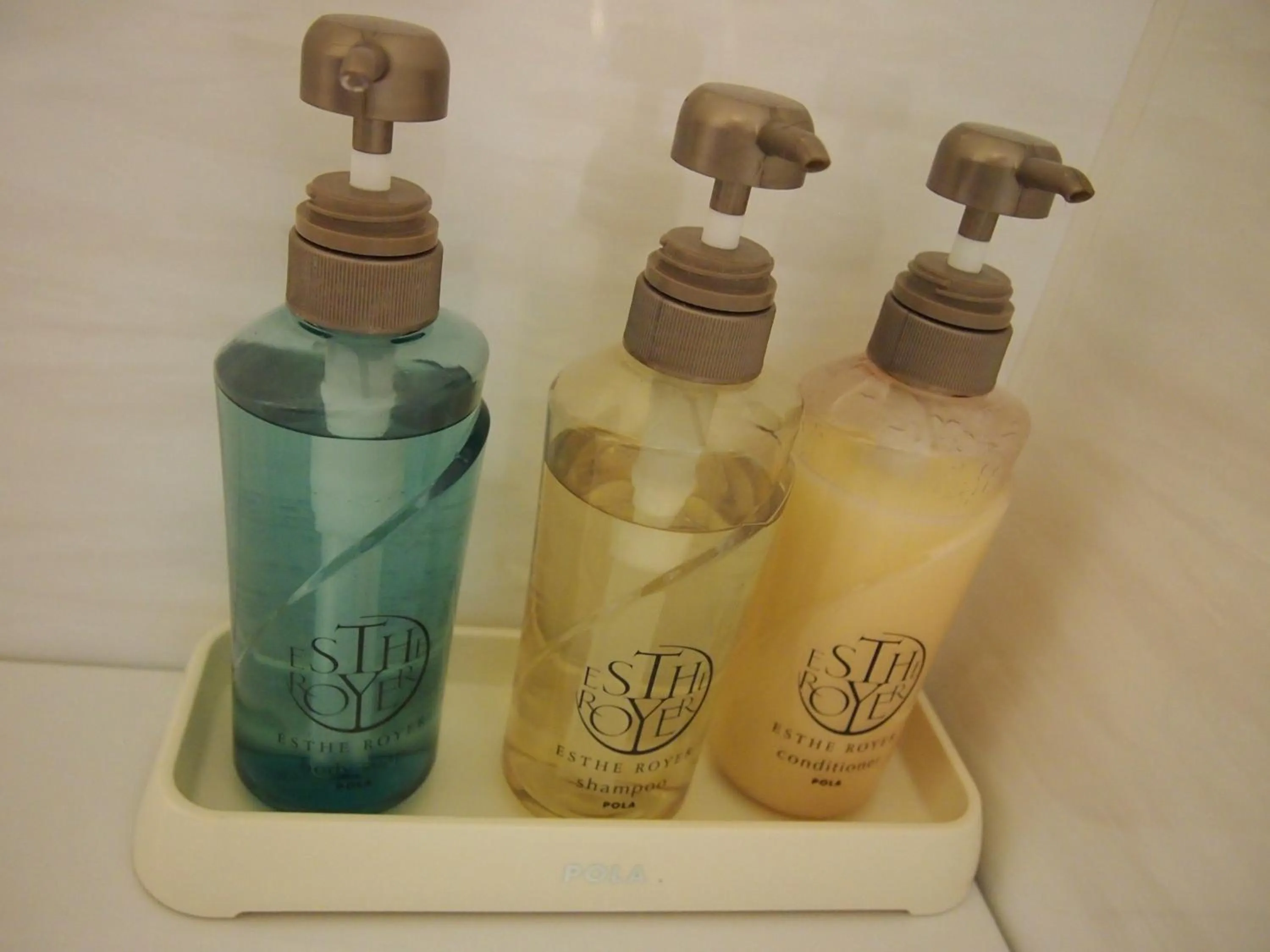 Decorative detail in Hotel Sunroute Kumamoto