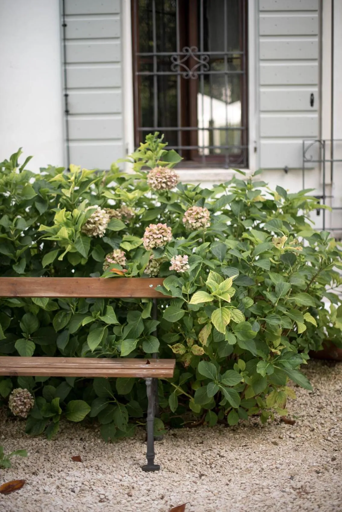 Property building in La Celeste Galeria