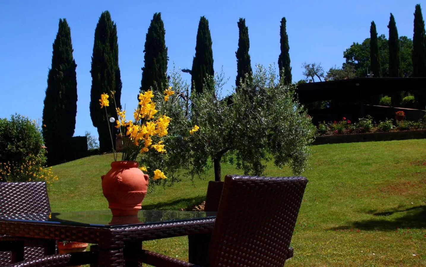 Garden in Borgo Di Collelungo