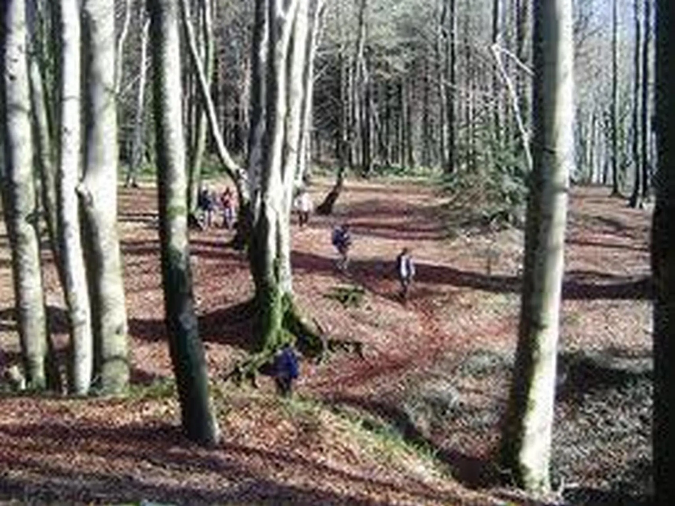 Nearby landmark in Hotel La Carruba