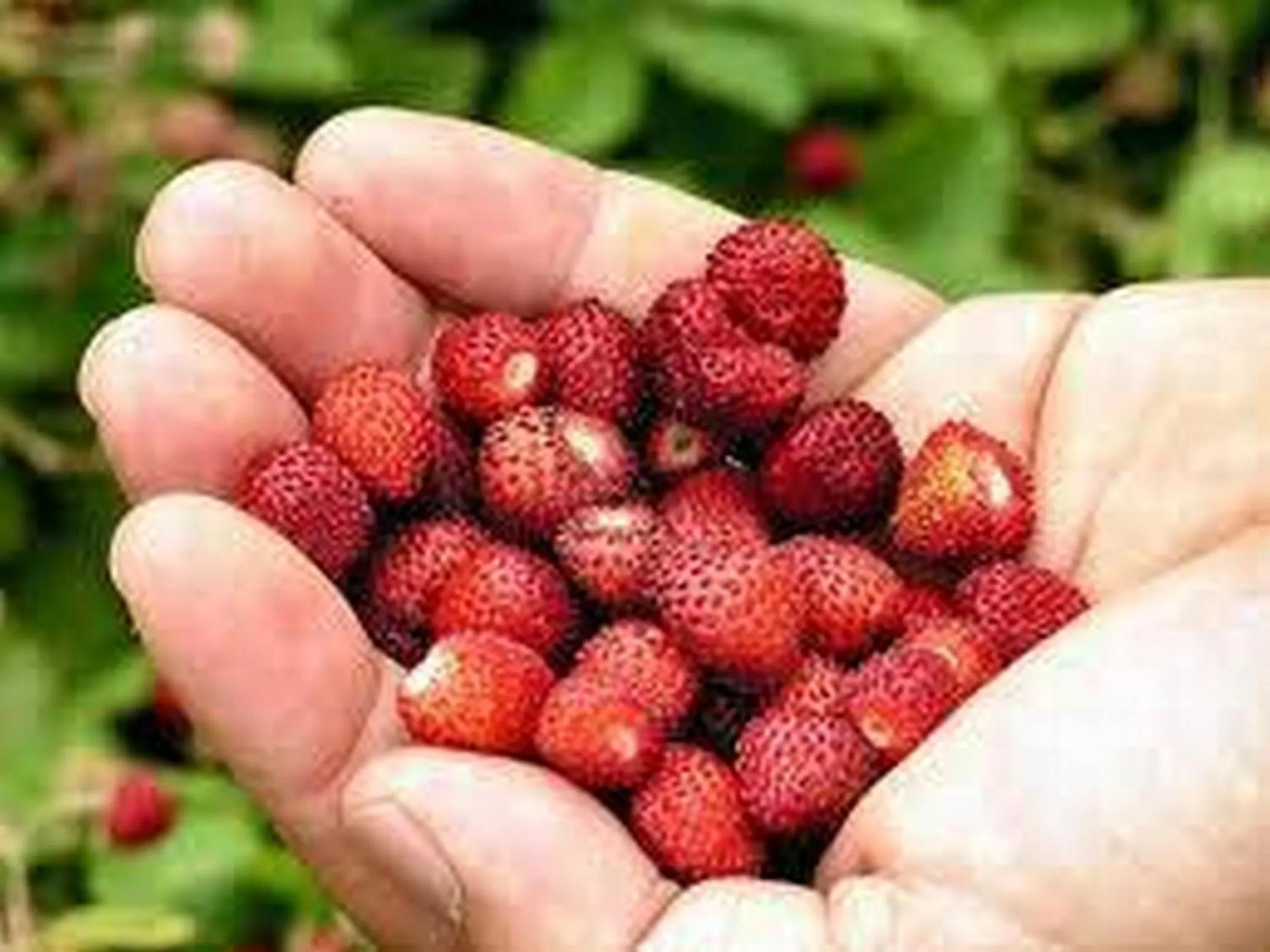 Activities in Hotel La Carruba