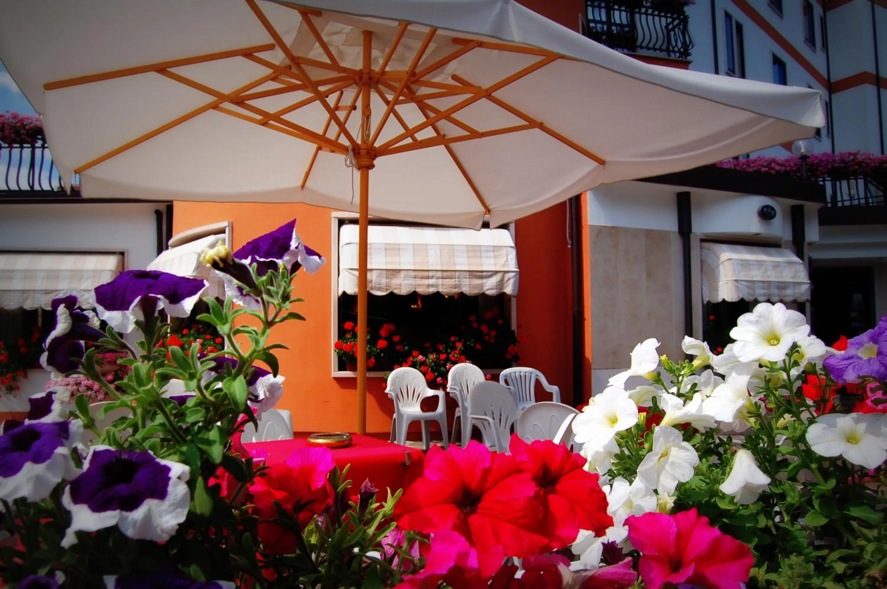 Floor plan in Hotel Iris