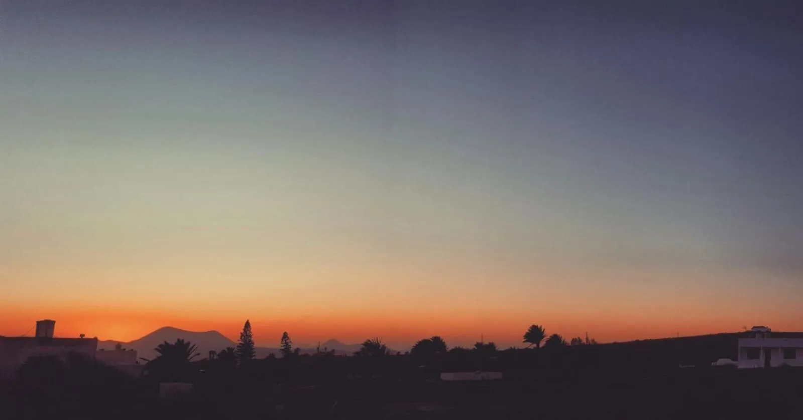 Garden in B&B La Mimosa