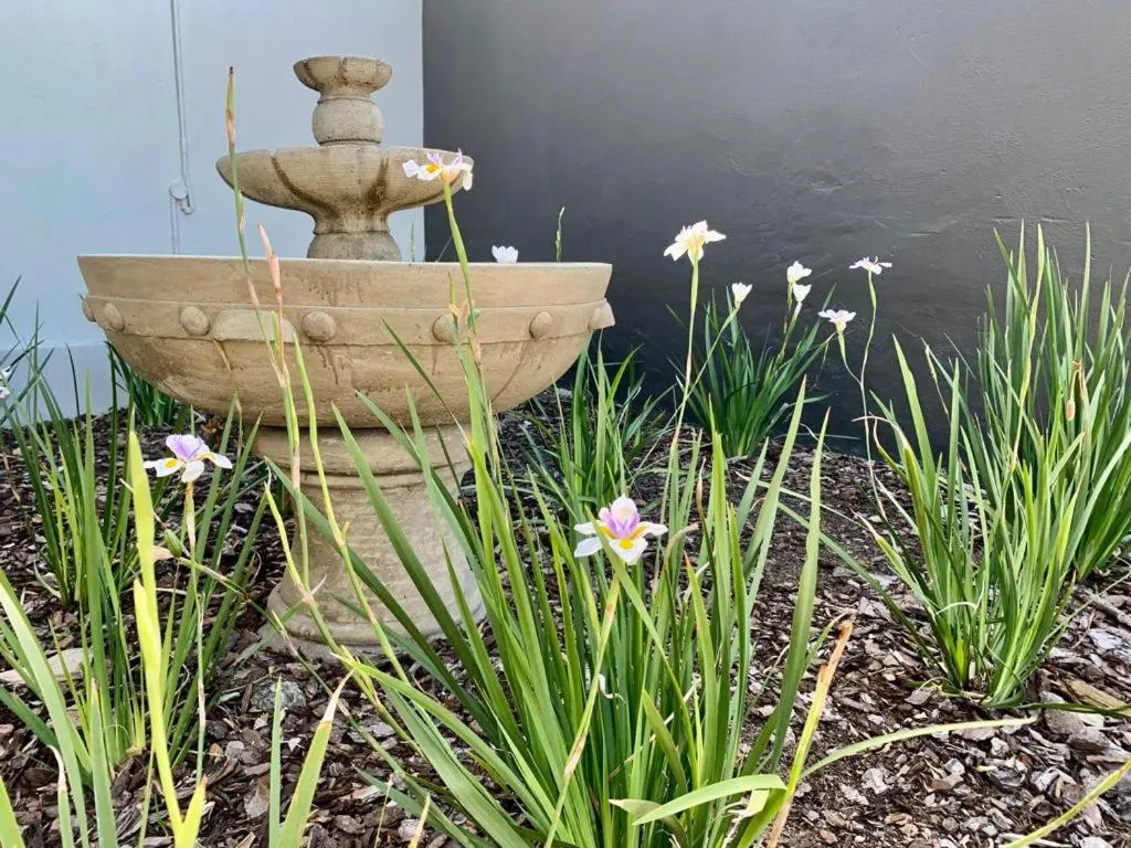 Garden in Anchor's Rest