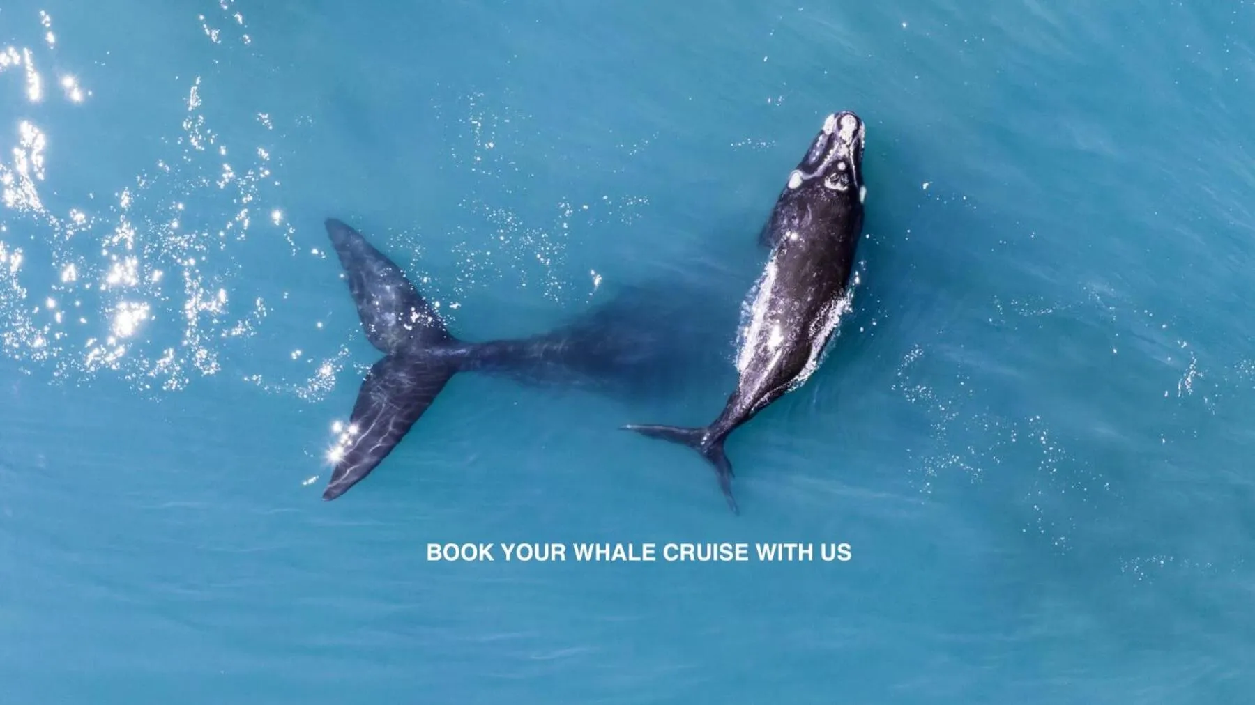 Beach in Anchor's Rest