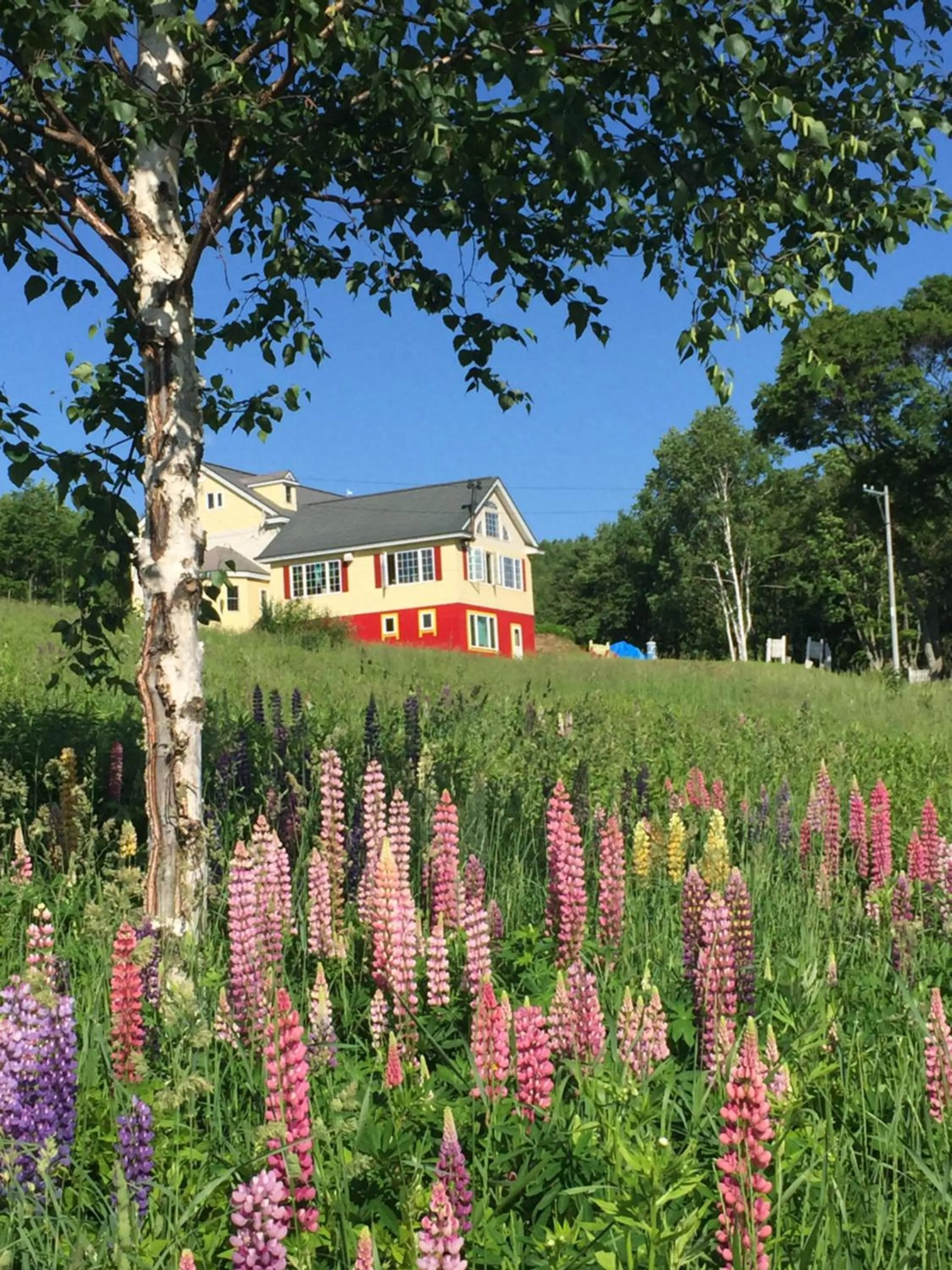 Property building in Pension Hoshi Ni Negaiwo