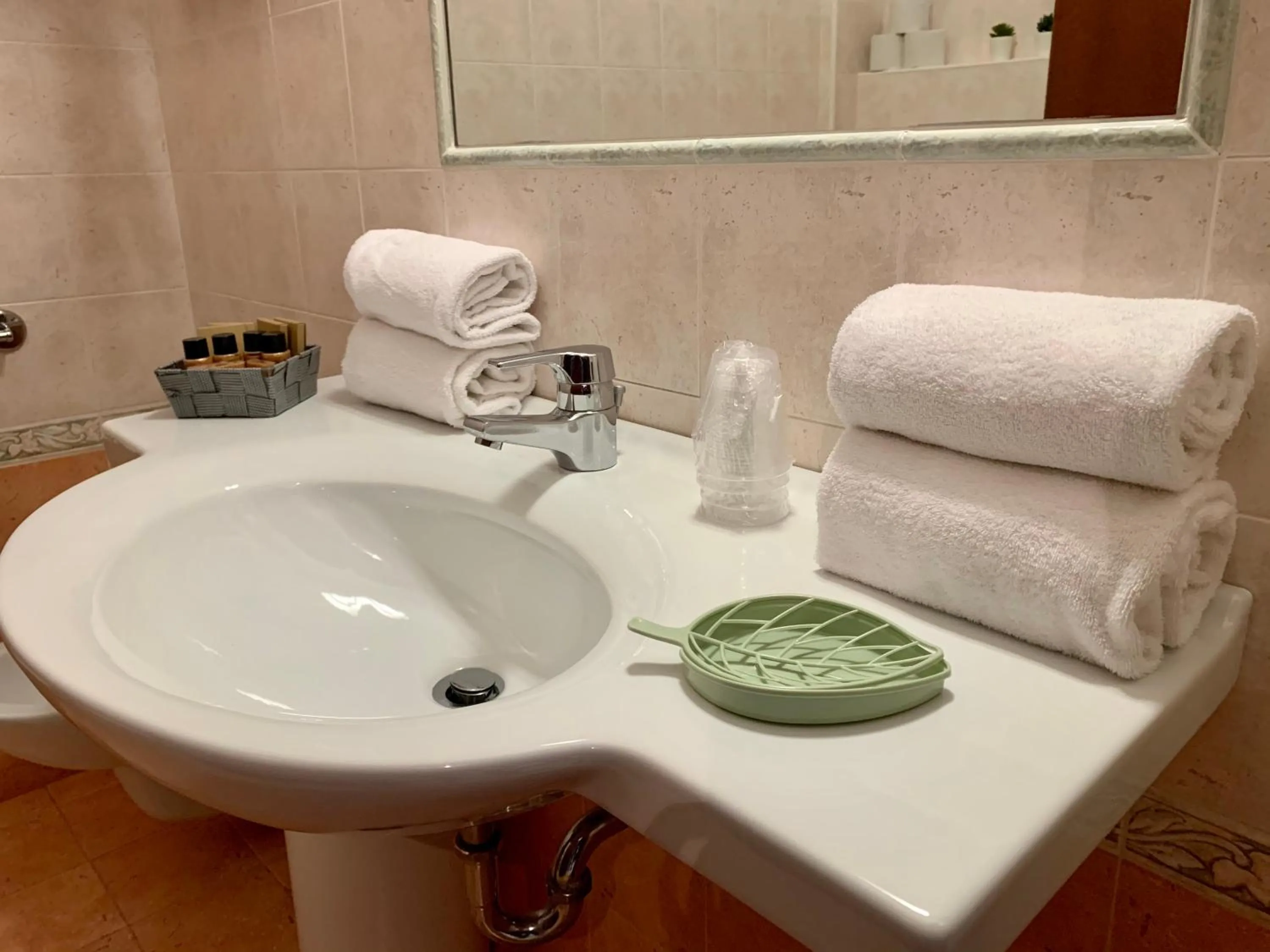 Bathroom in Hotel Virginia