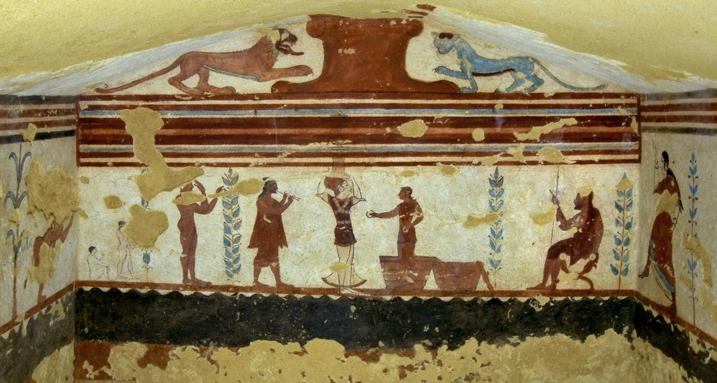 Area and facilities in Hotel La Torricella