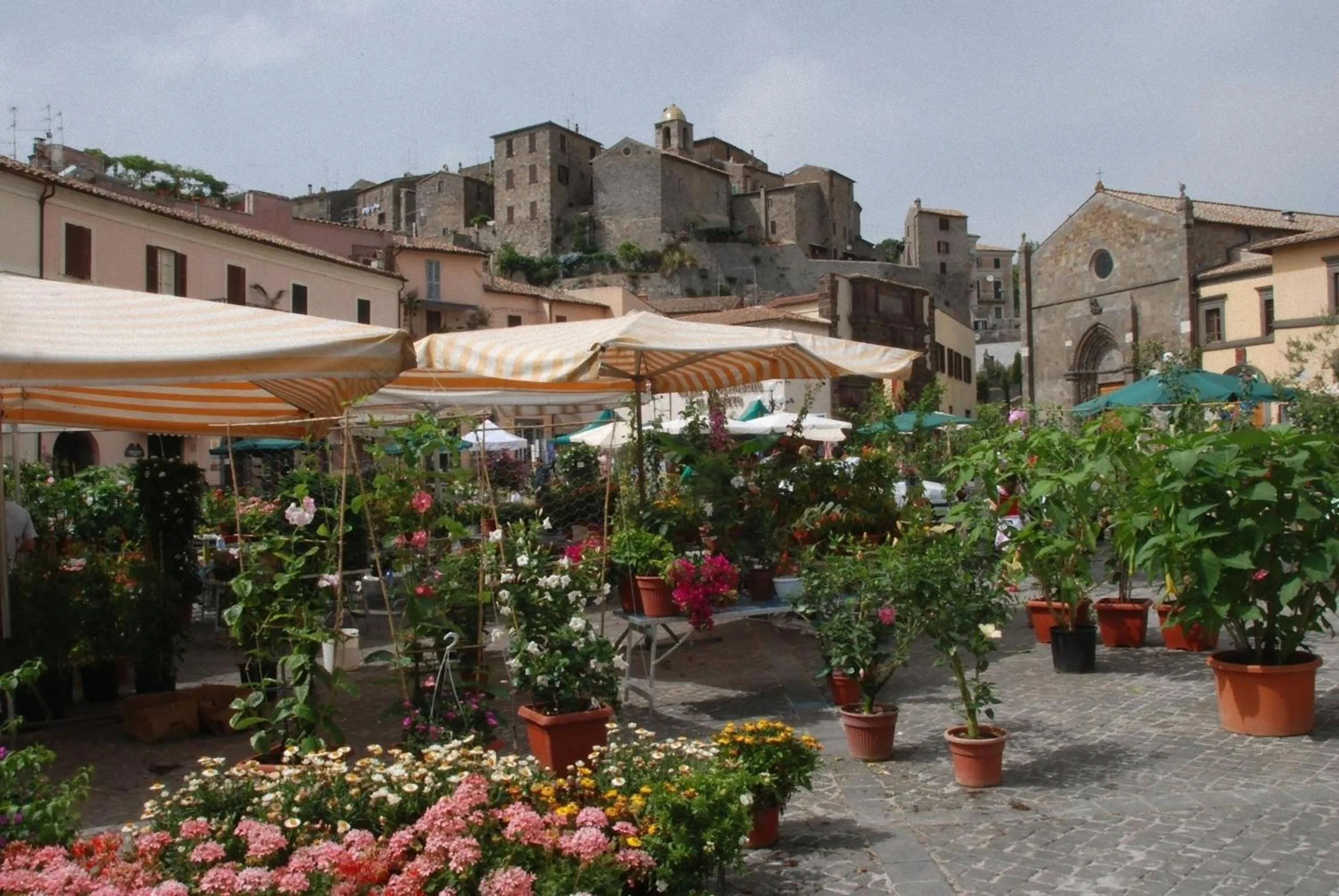 Area and facilities in Hotel La Torricella