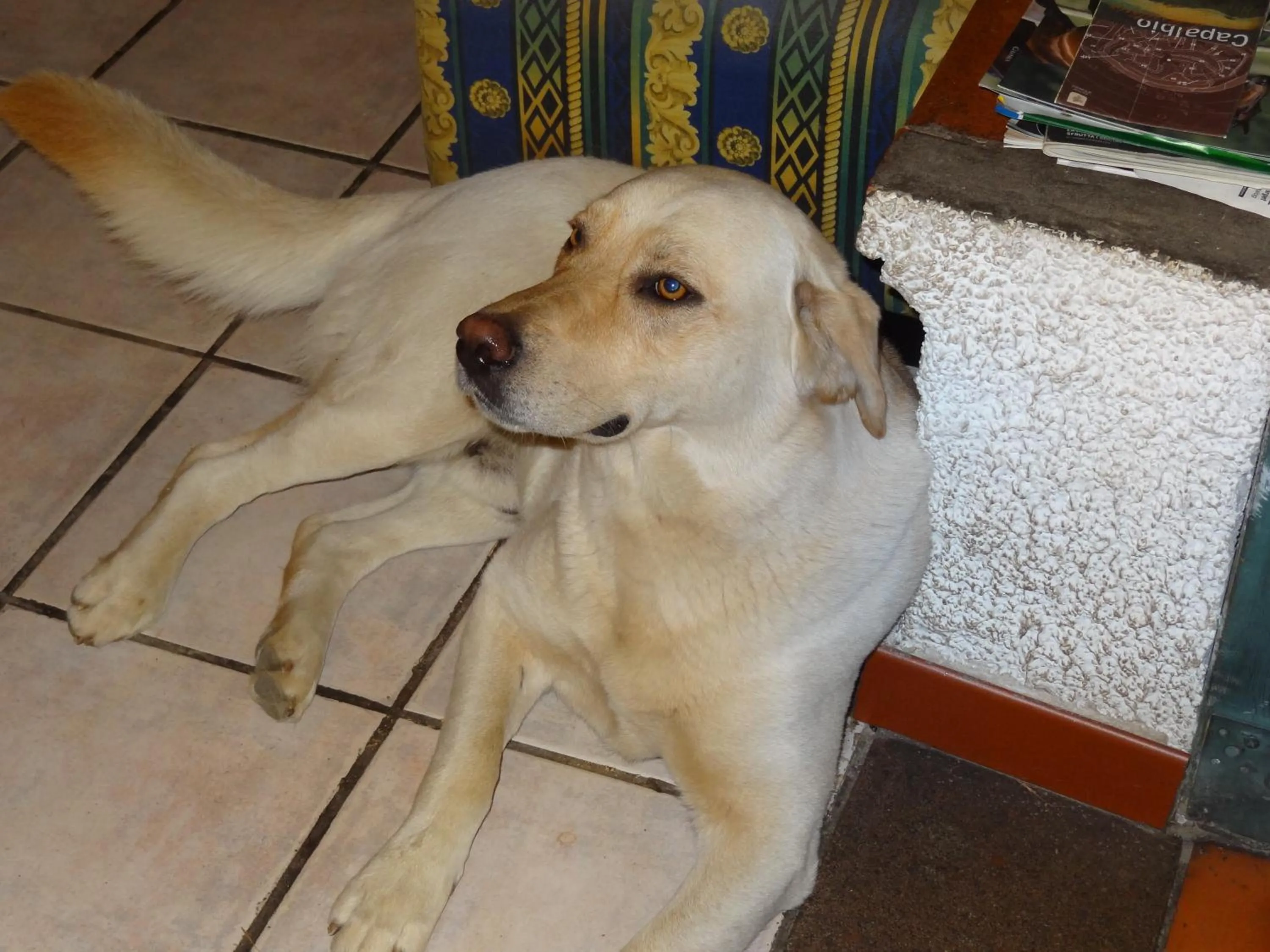 Other in Hotel La Torricella