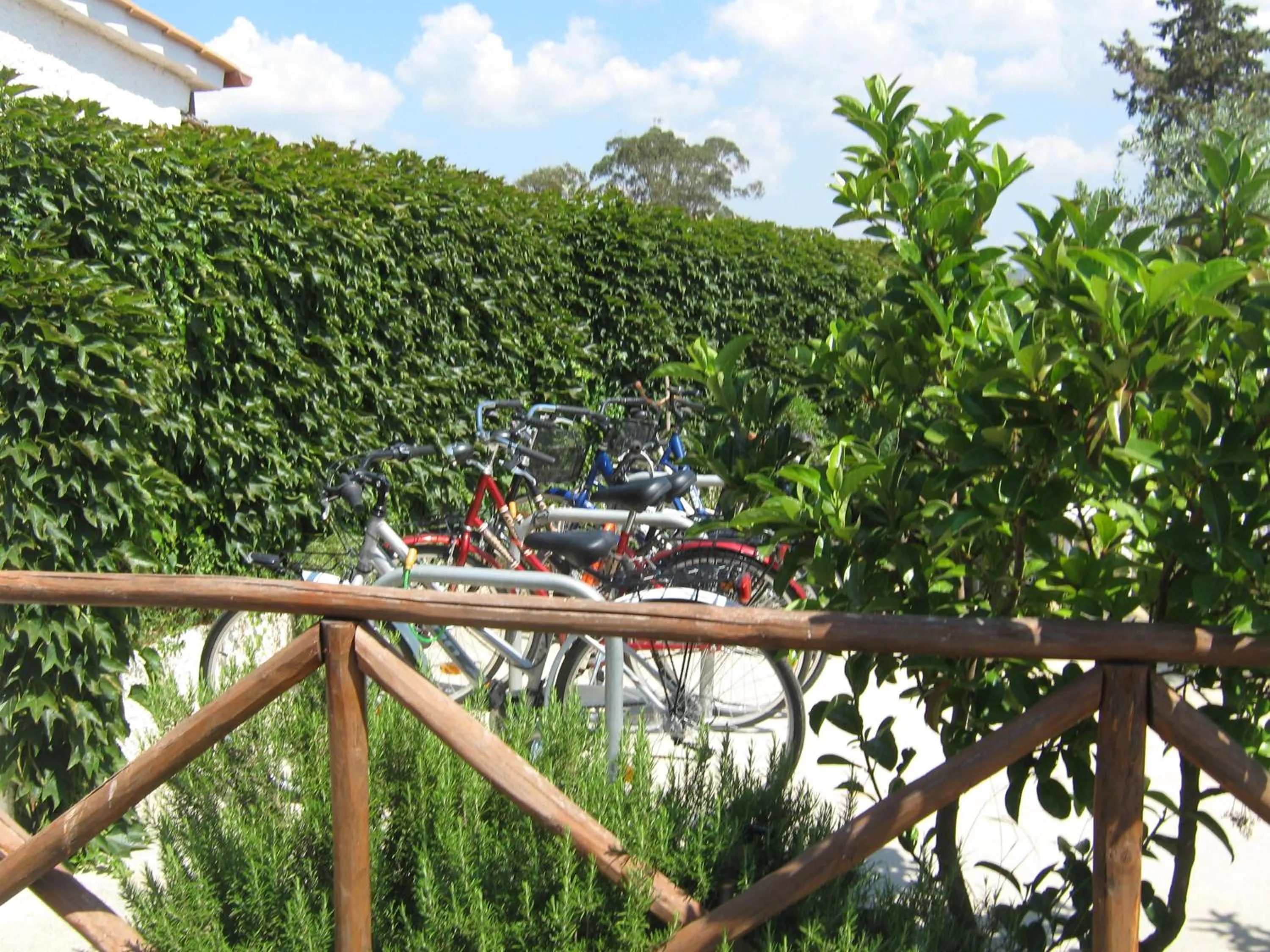 Cycling in Hotel La Torricella