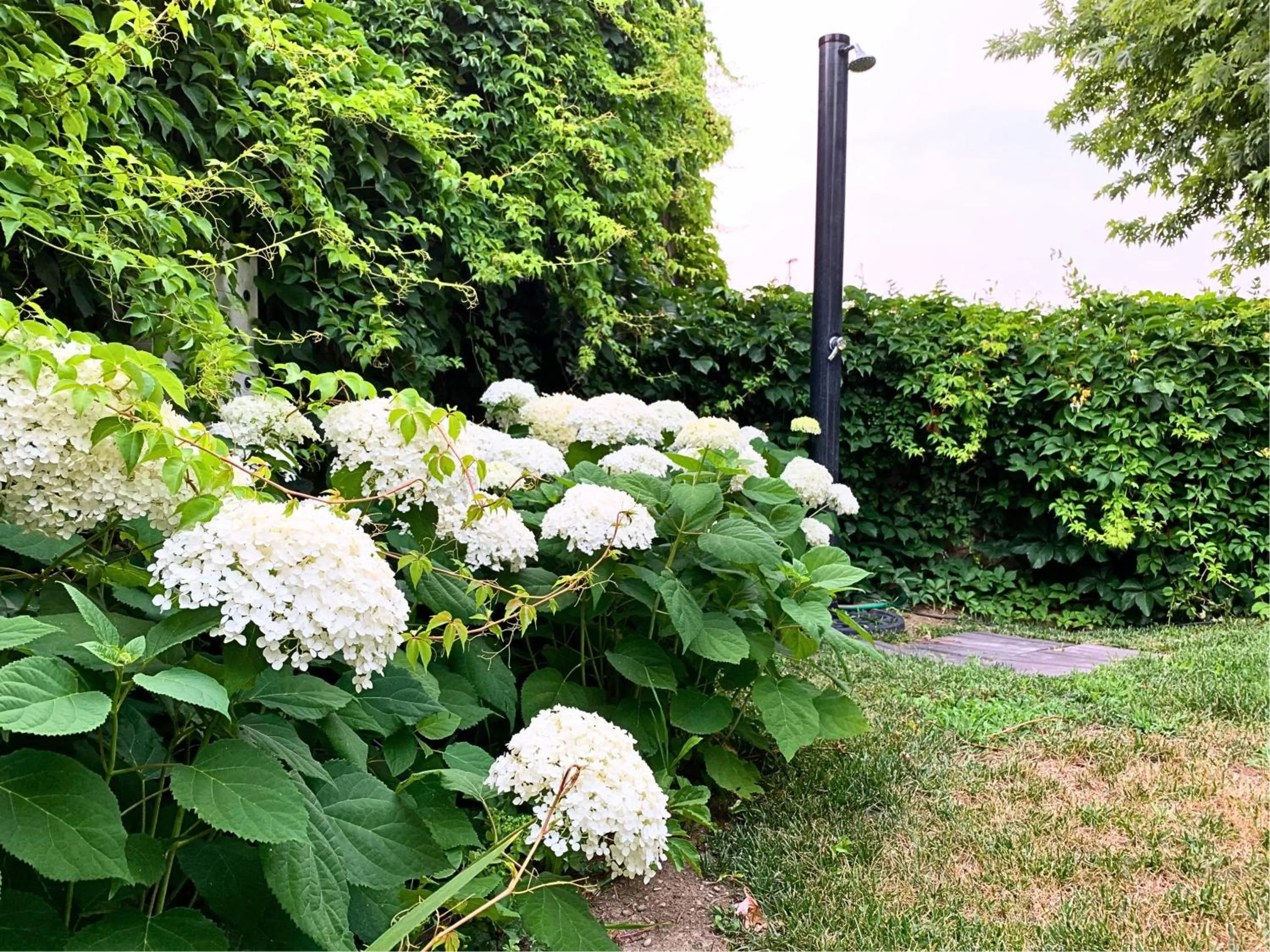 Swimming pool in Malpassuti Resort
