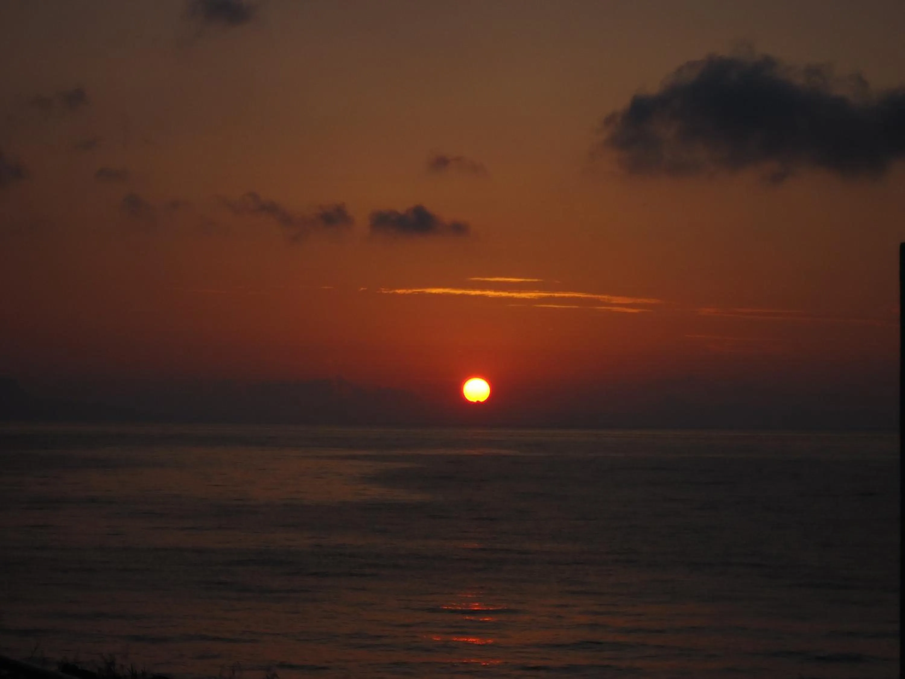 Natural landscape in Almyra Apartments & Suites