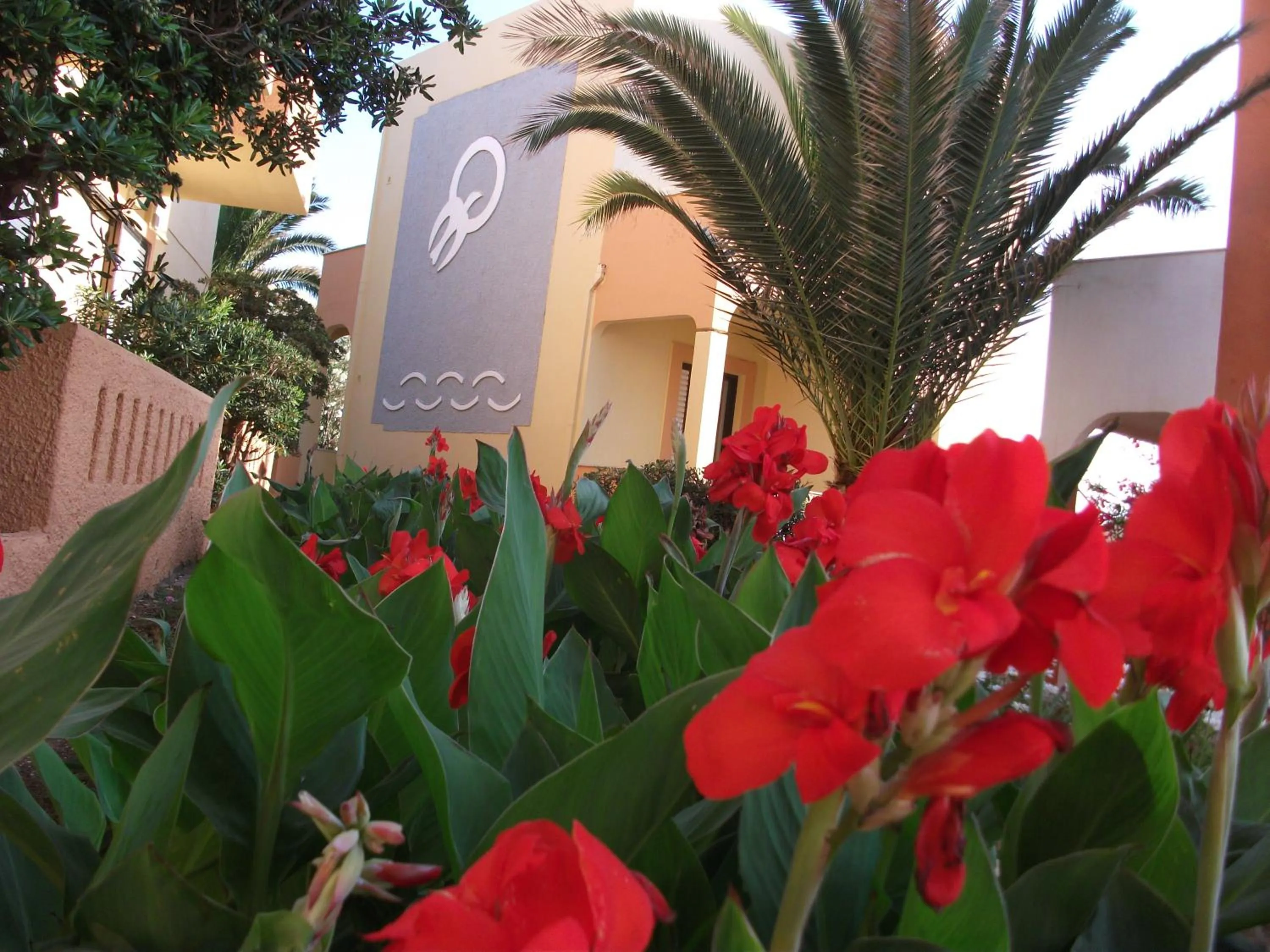 Garden in Almyra Apartments & Suites