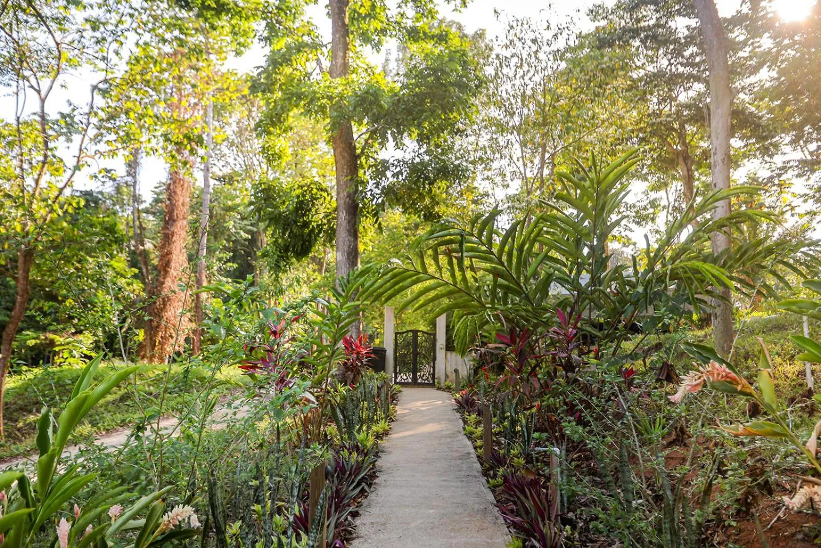 Garden in Sattva Land